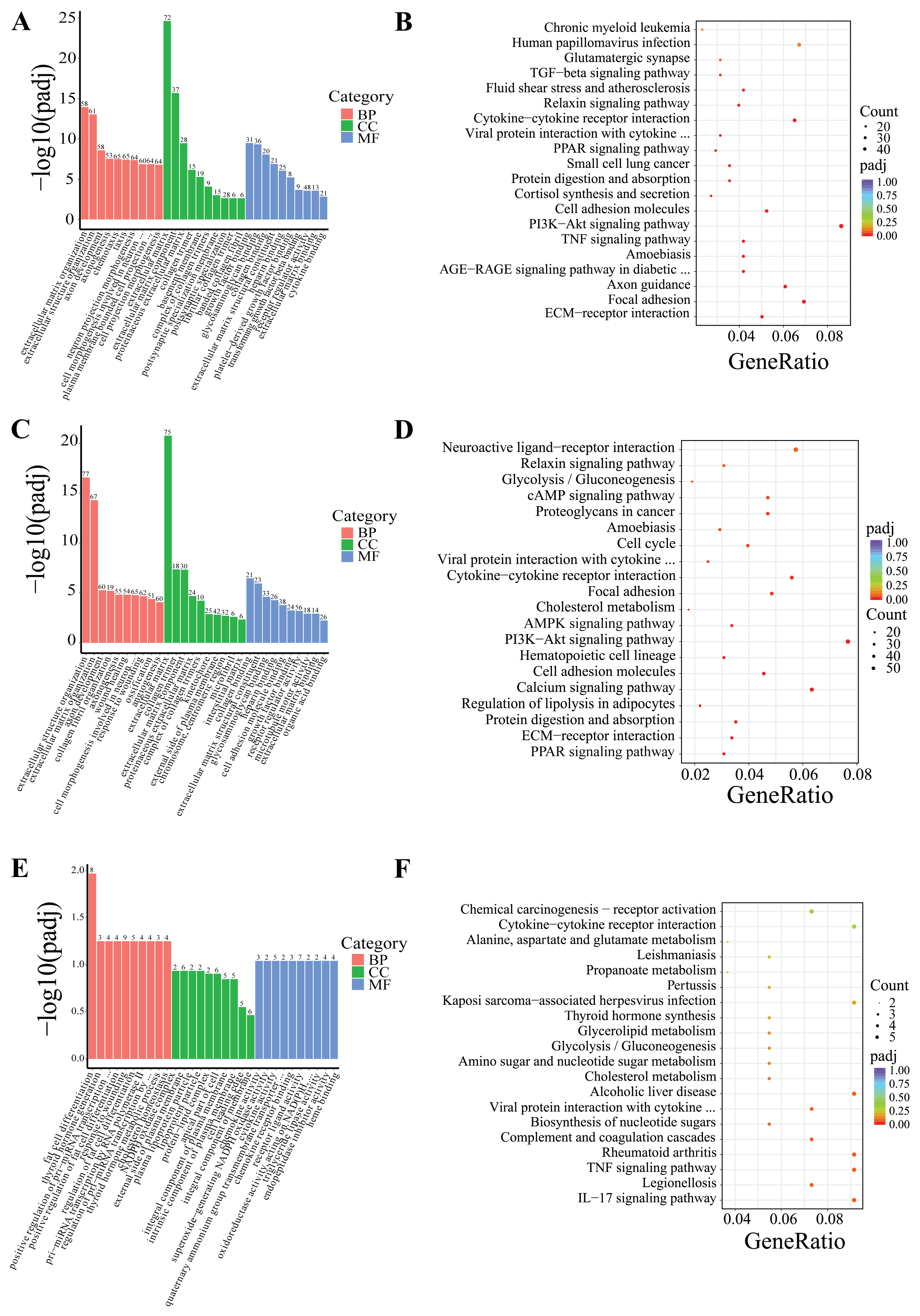 Cells 14 00392 g005 Cells 14 00392 g005