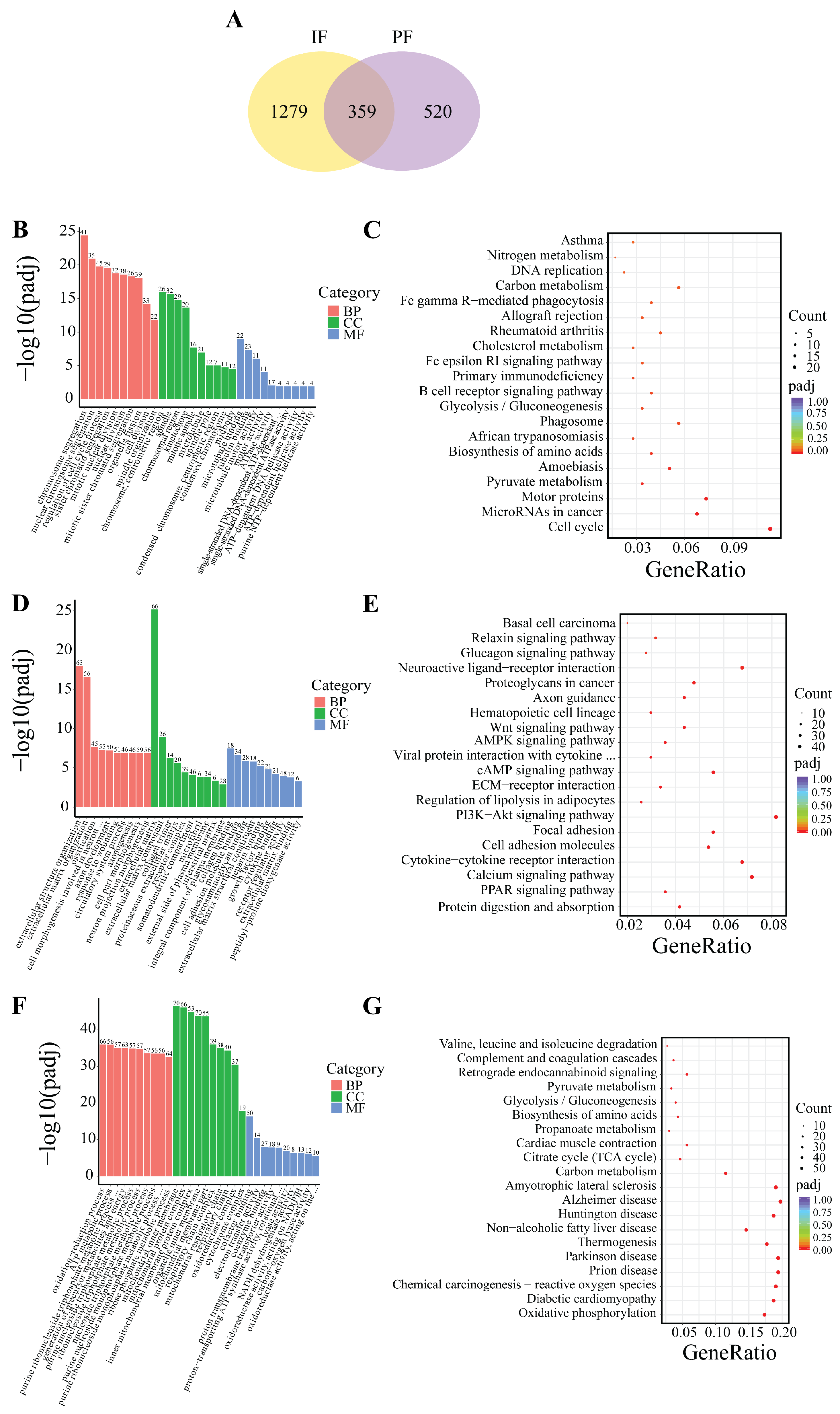 Cells 14 00392 g007 Cells 14 00392 g007