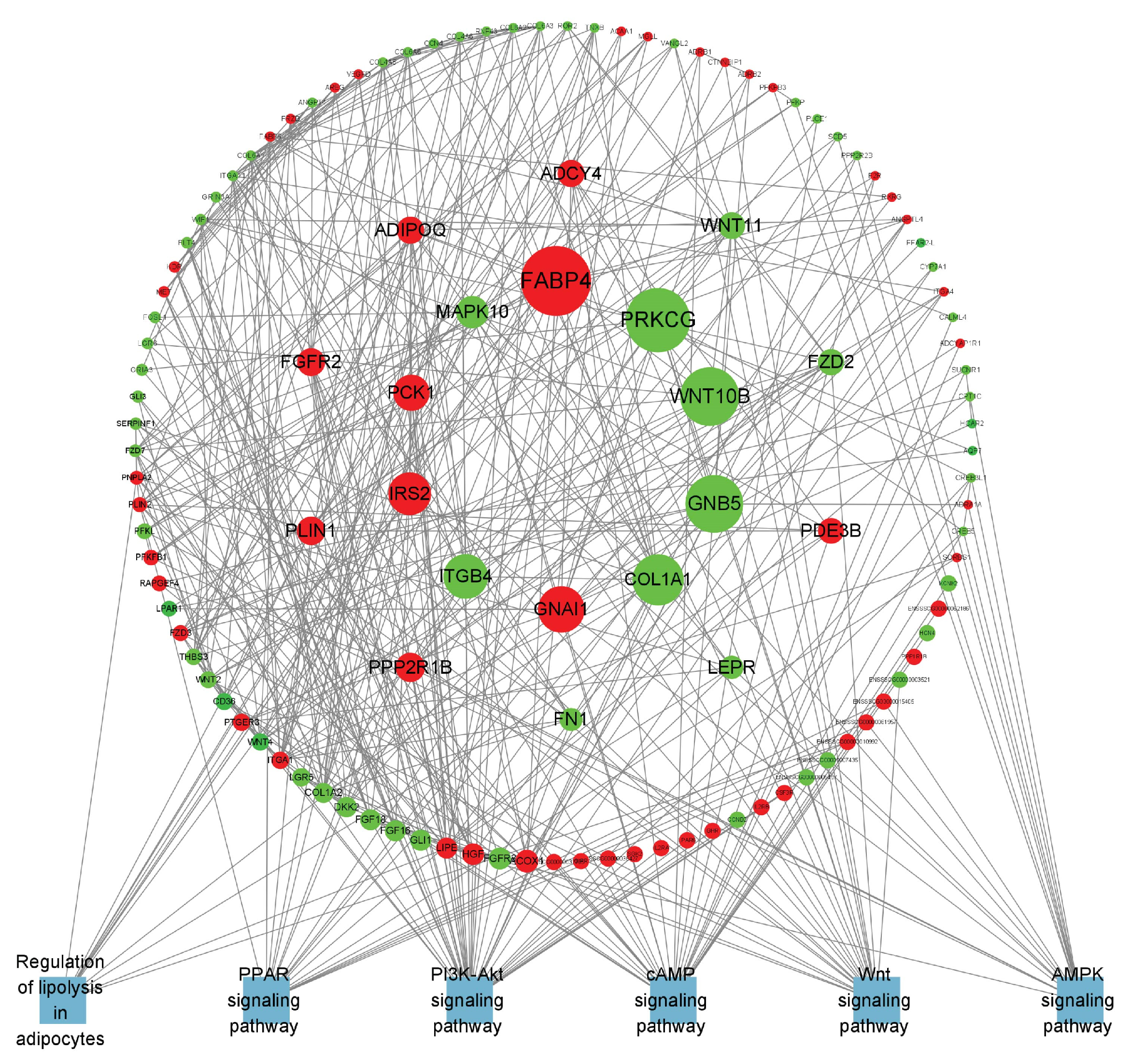 Cells 14 00392 g008 Cells 14 00392 g008