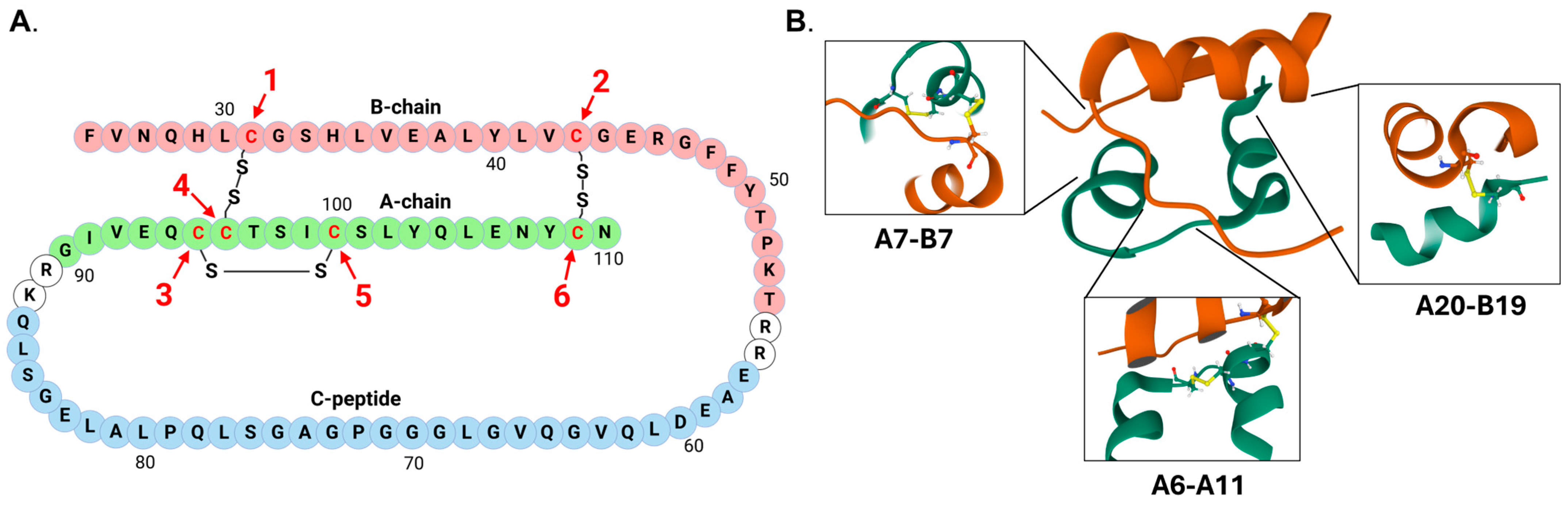 Cells 14 00399 g001