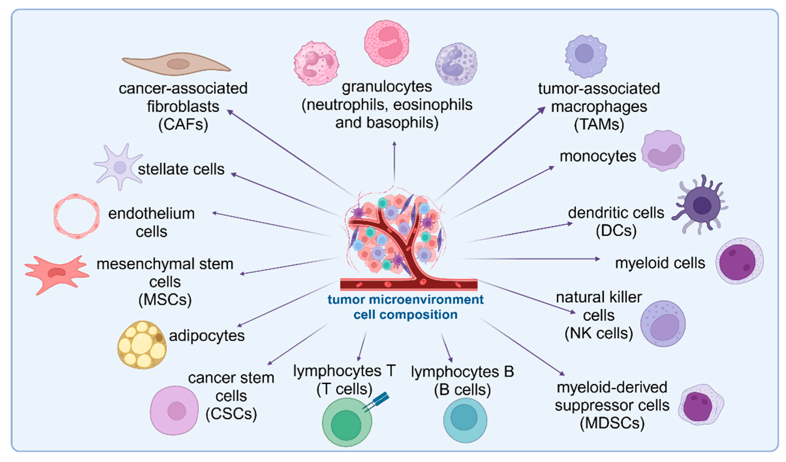 Cells 14 00403 g002 Cells 14 00403 g002