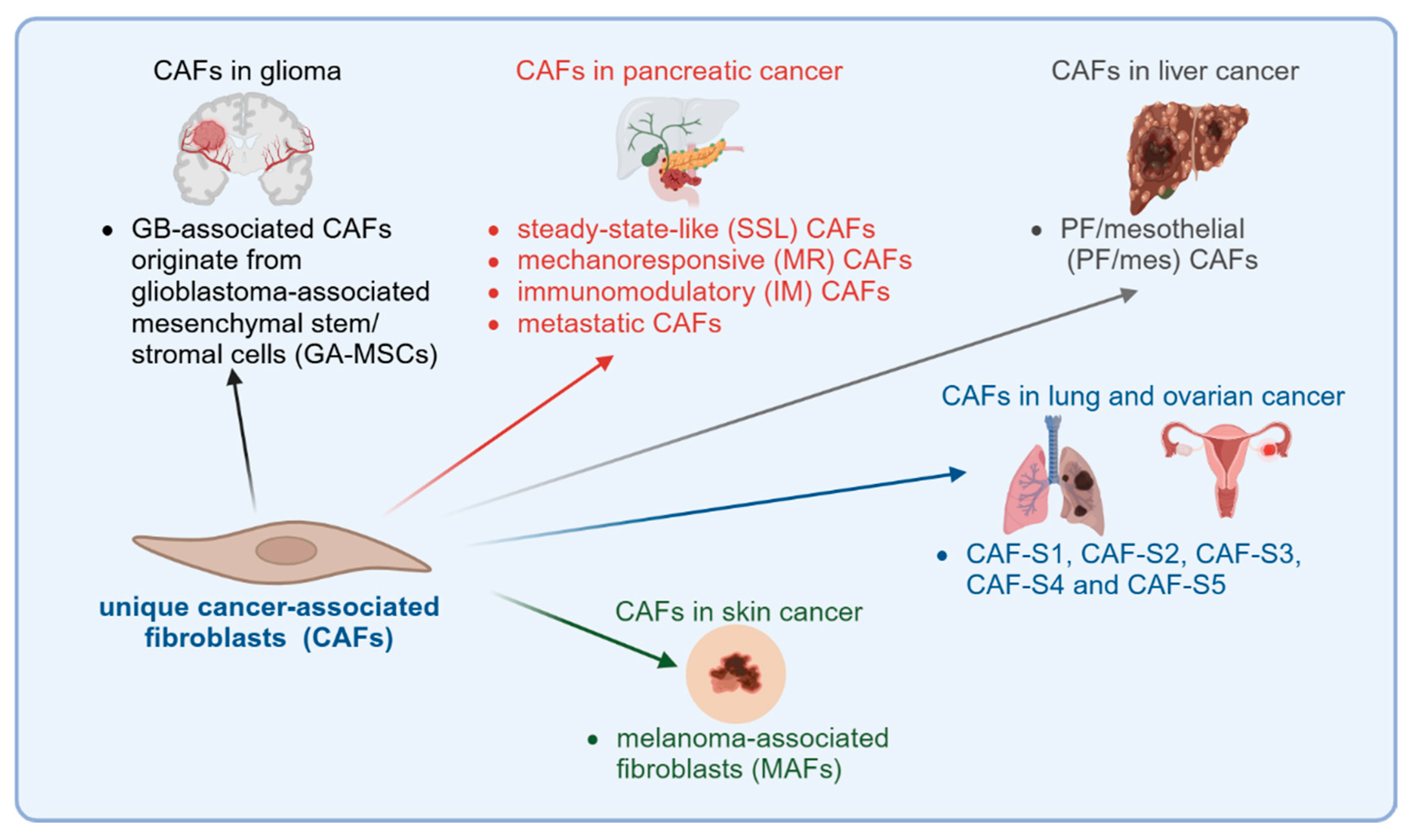 Cells 14 00403 g004 Cells 14 00403 g004