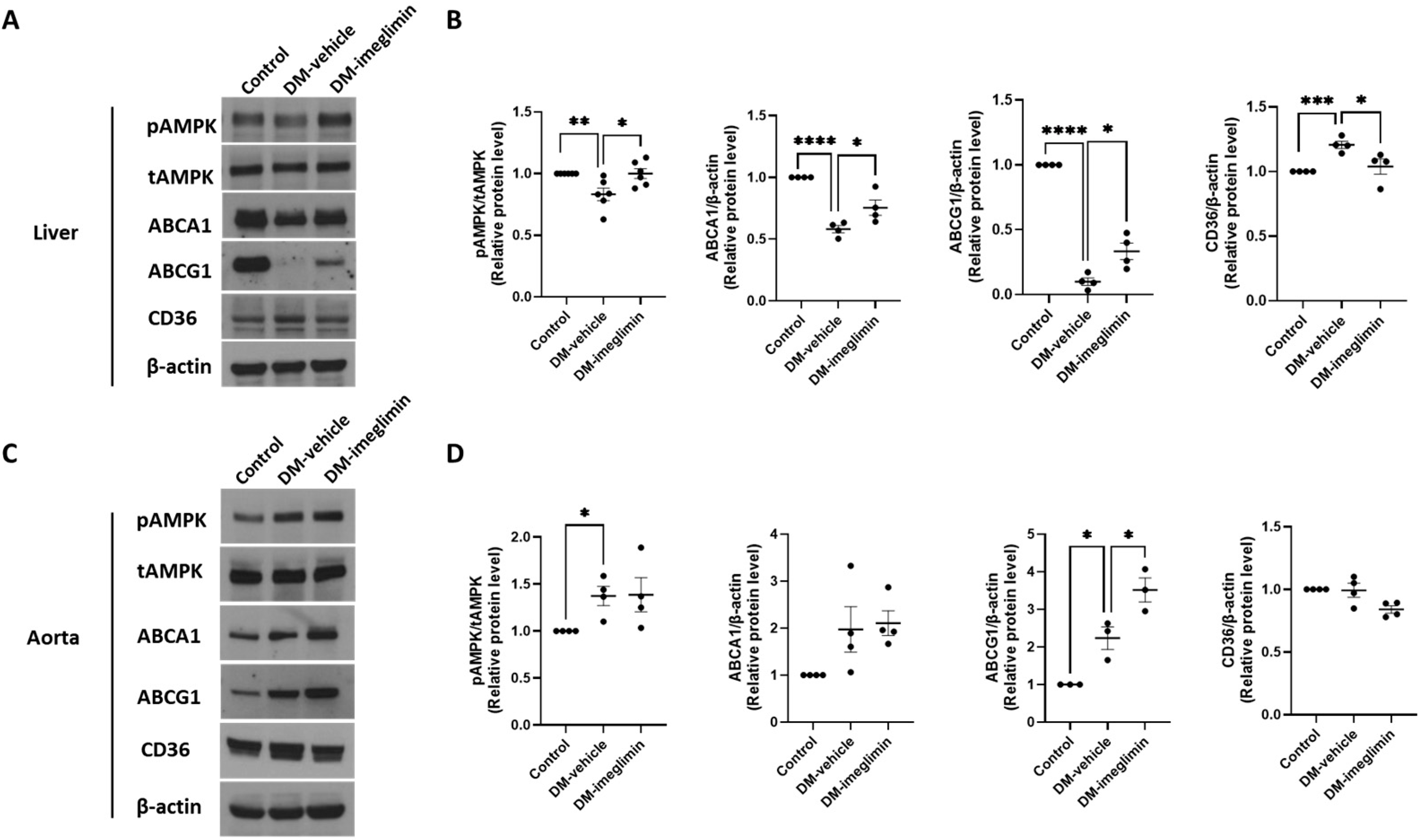Cells 14 00472 g007