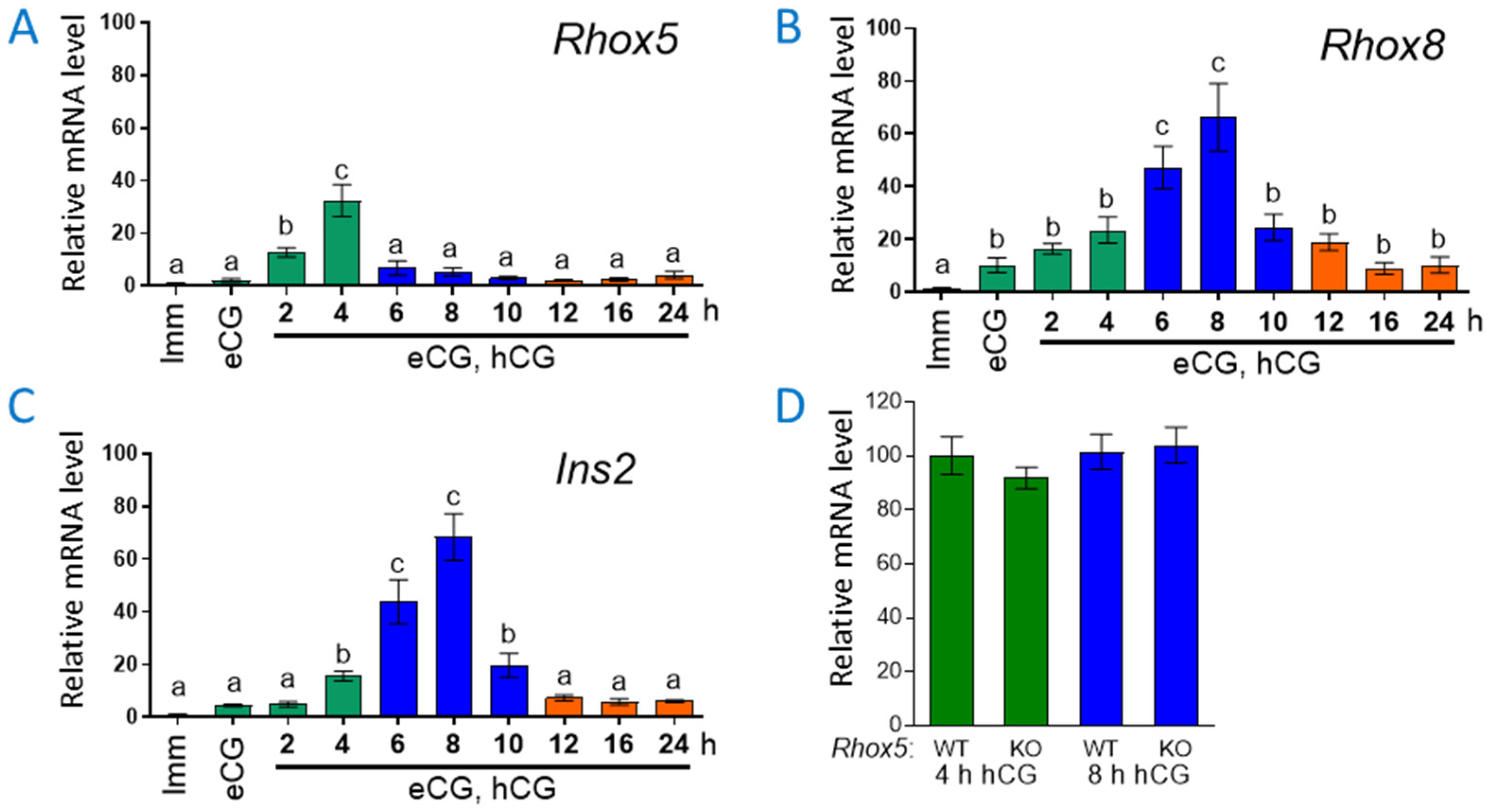 Cells 14 00478 g001 Cells 14 00478 g001