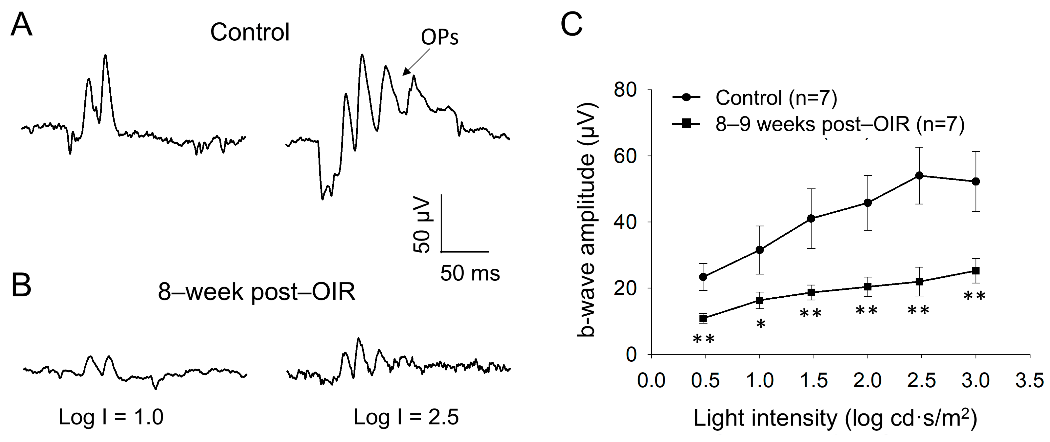 Cells 14 00512 g003 Cells 14 00512 g003