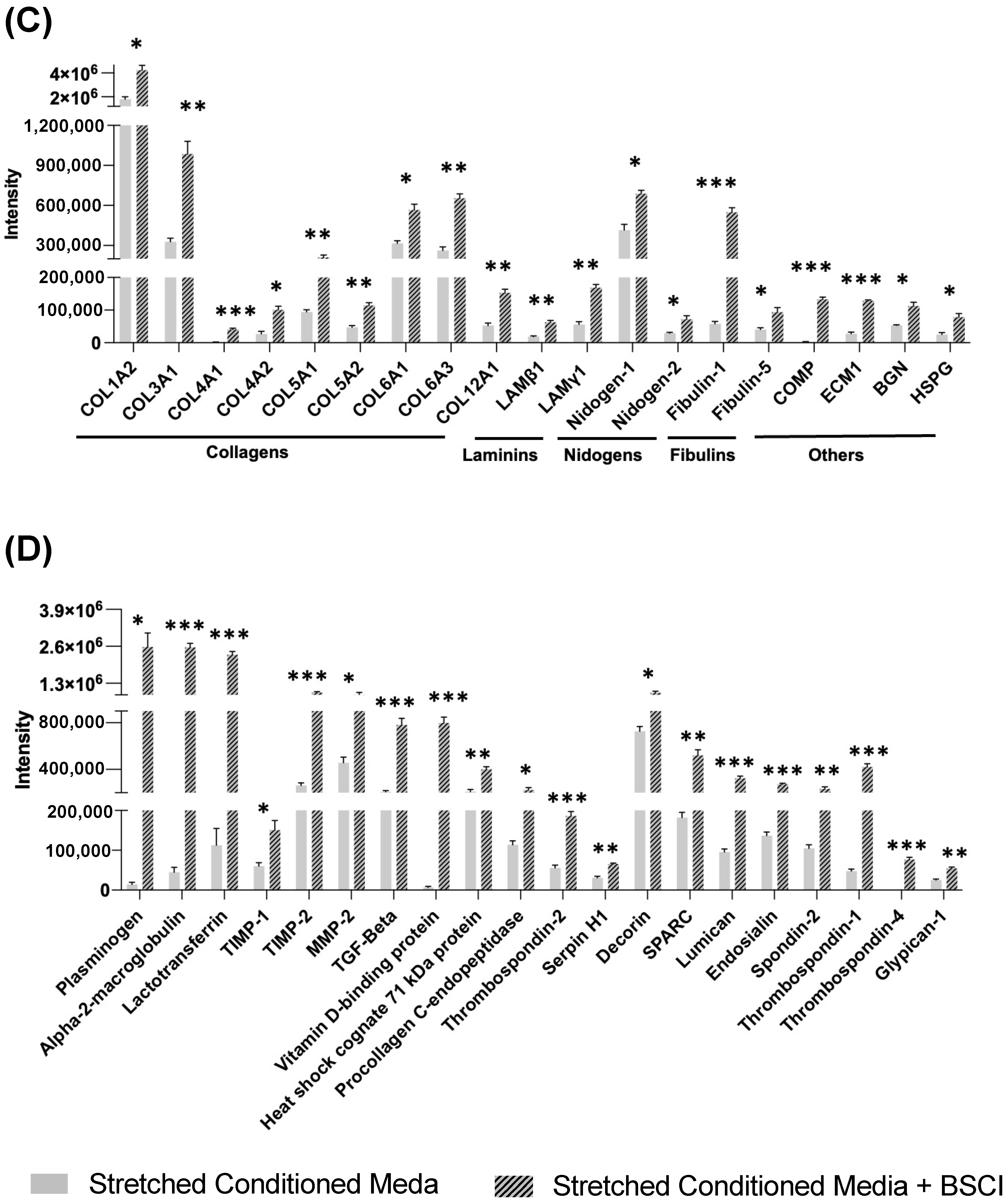 Cells 14 00514 g004b