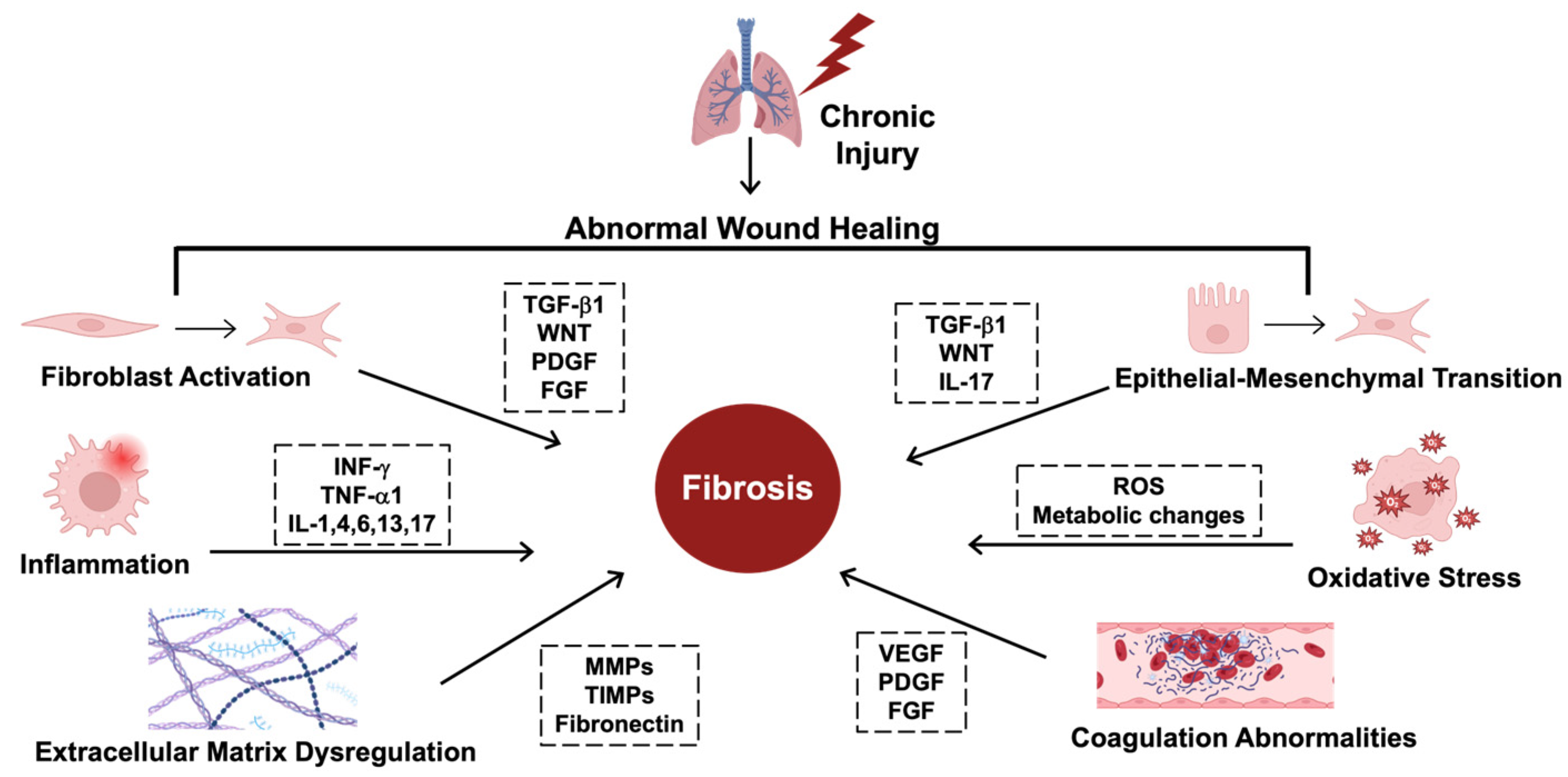 Cells 14 00536 g001 Cells 14 00536 g001