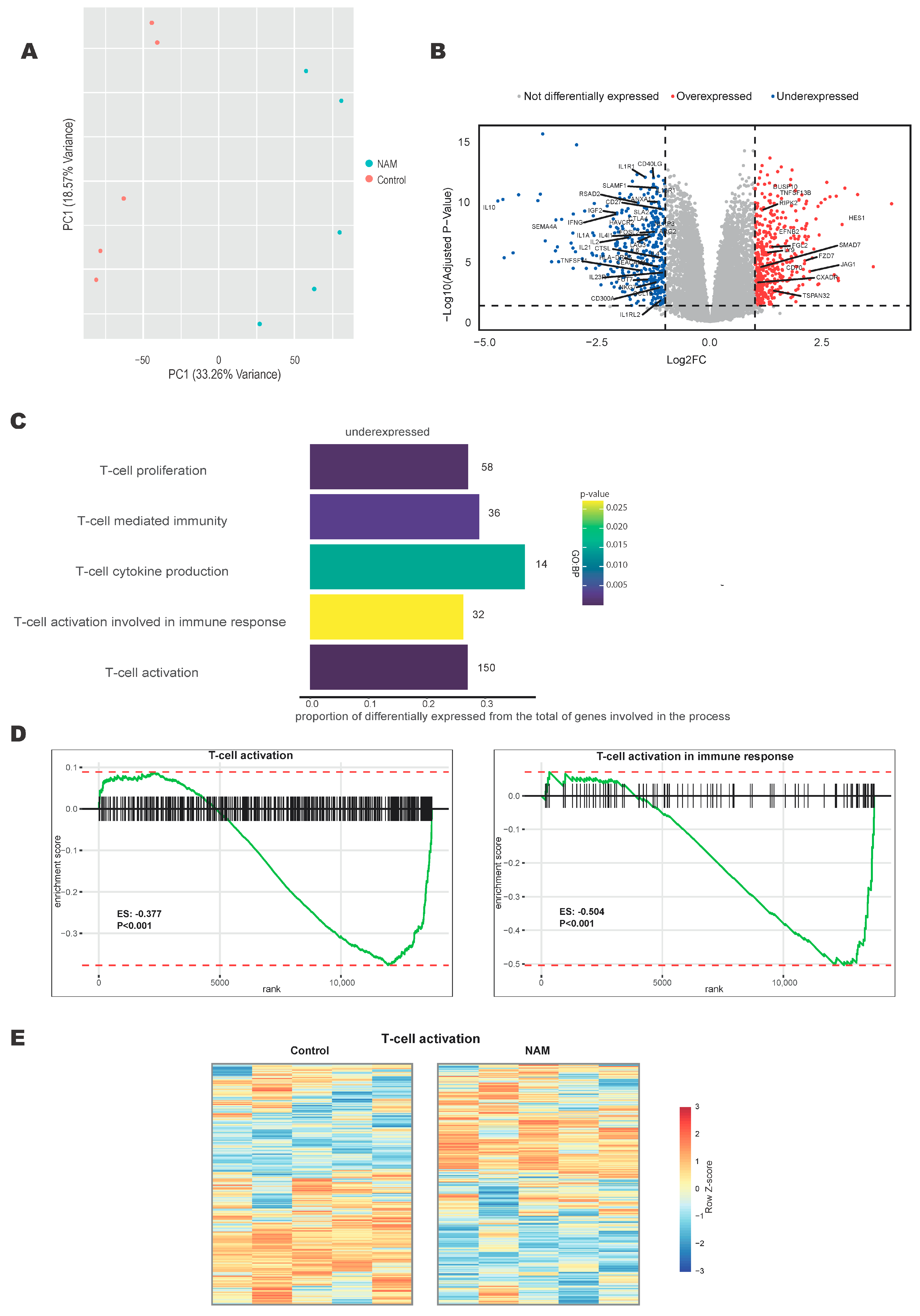 Cells 14 00560 g001 Cells 14 00560 g001