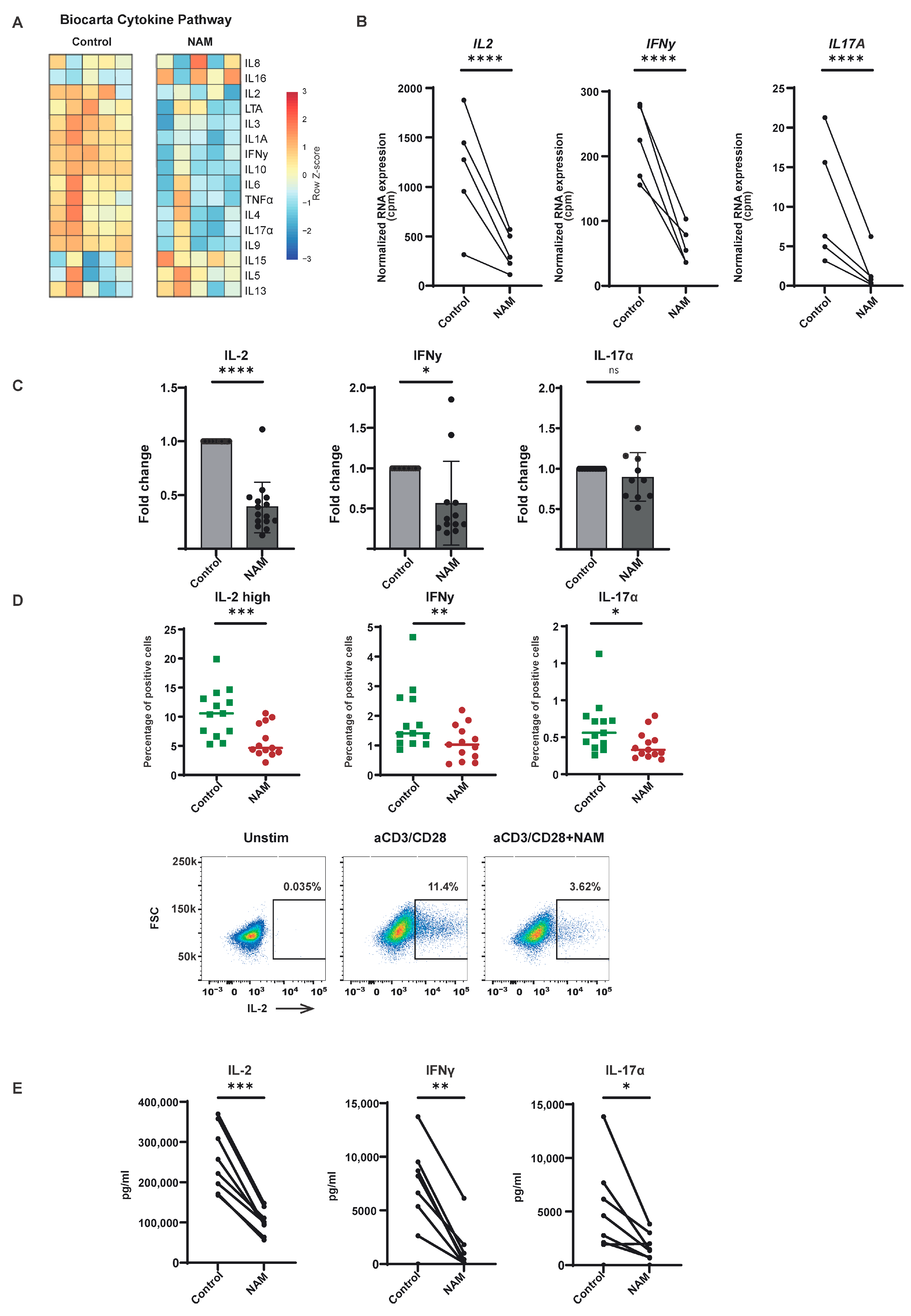 Cells 14 00560 g004 Cells 14 00560 g004