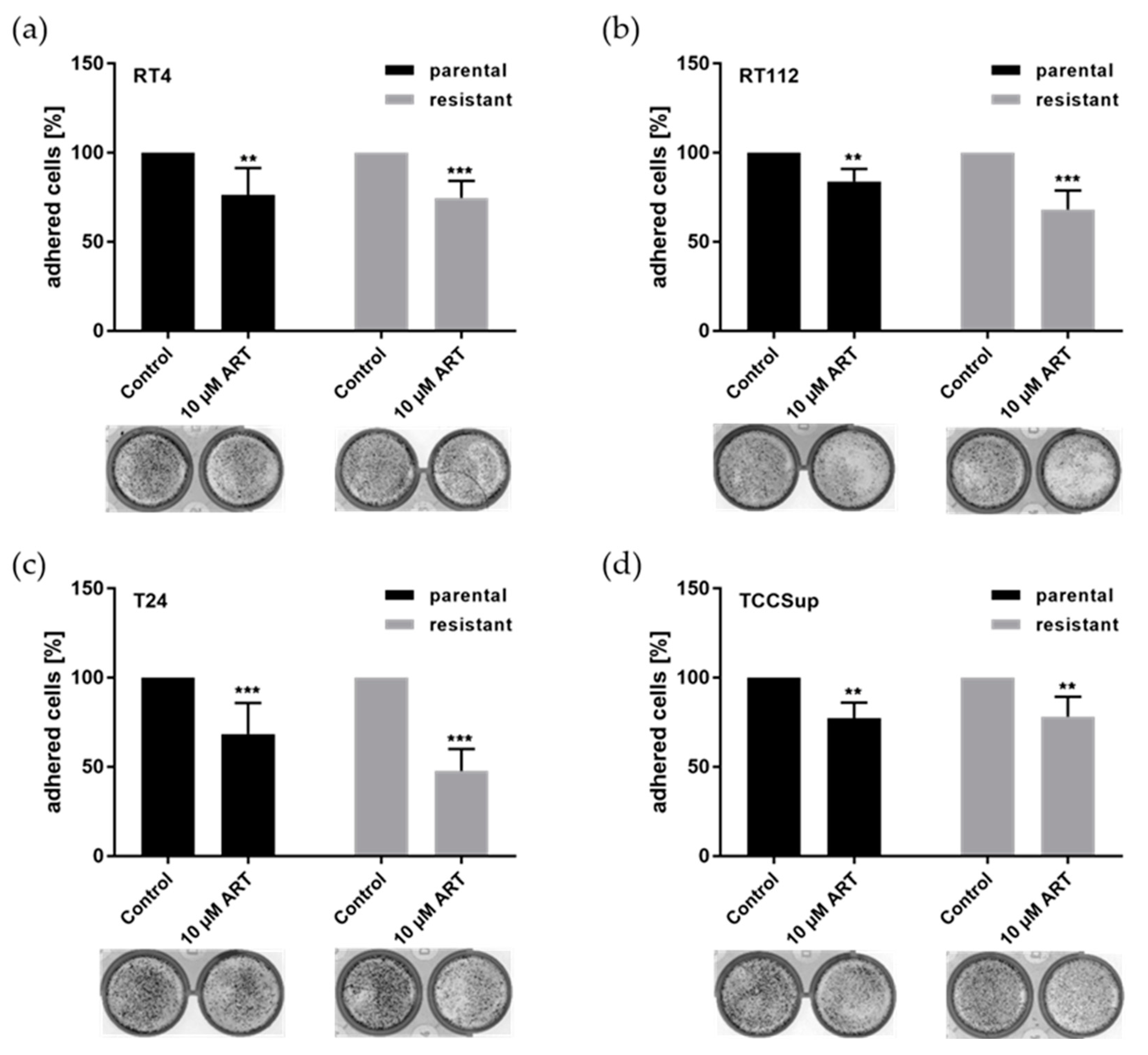 Cells 14 00570 g002 Cells 14 00570 g002
