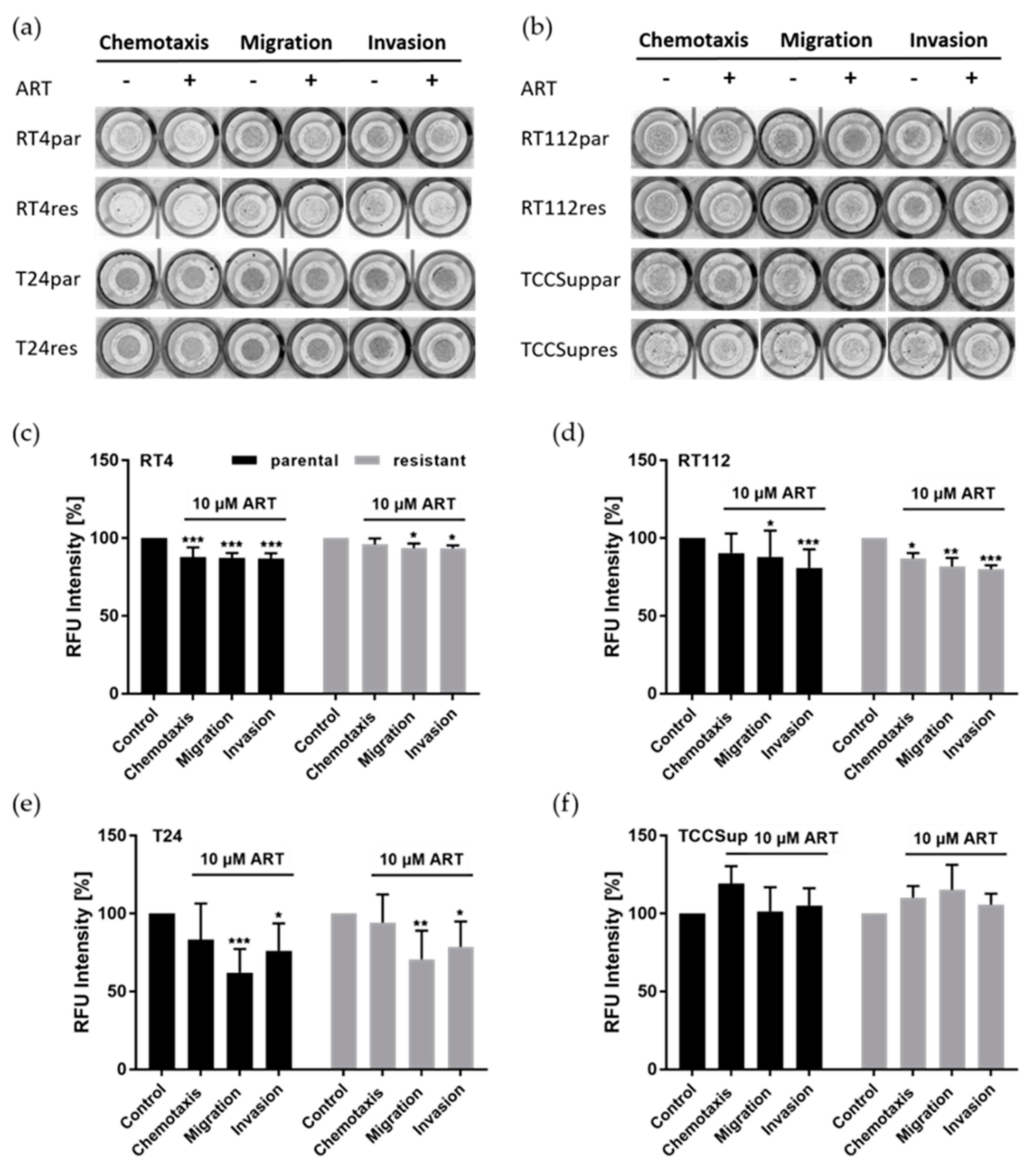 Cells 14 00570 g003 Cells 14 00570 g003