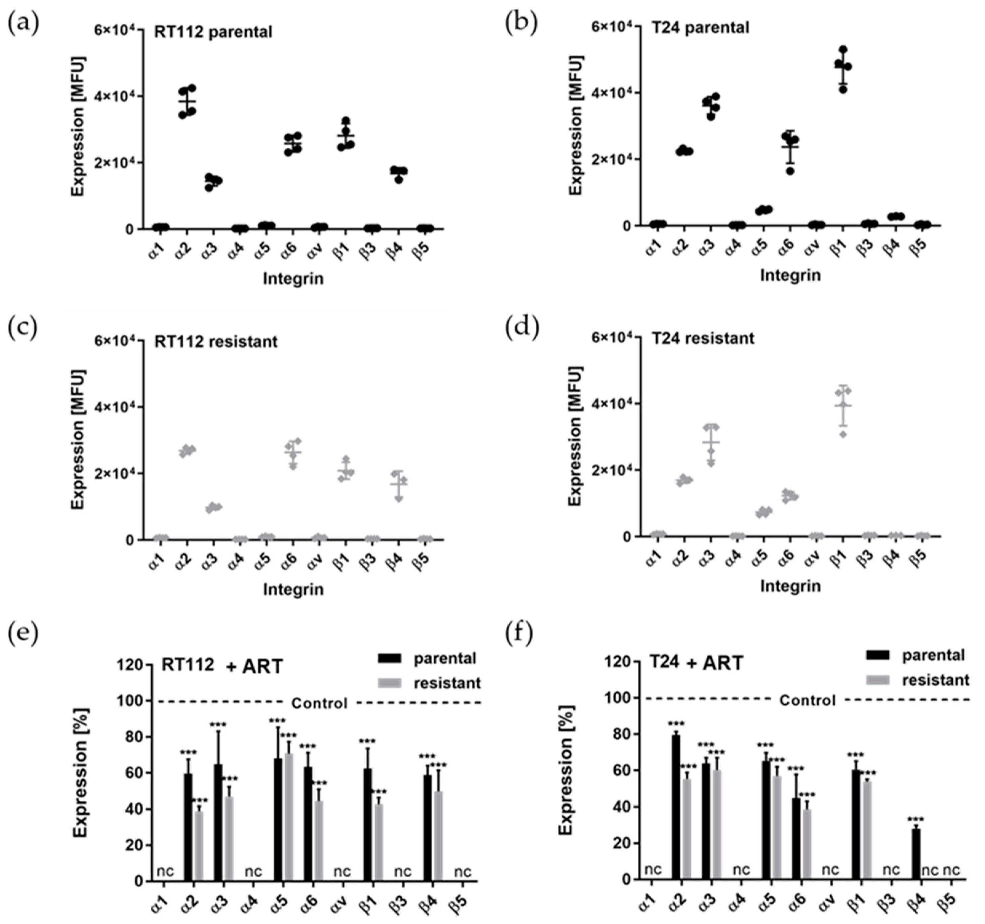 Cells 14 00570 g004 Cells 14 00570 g004