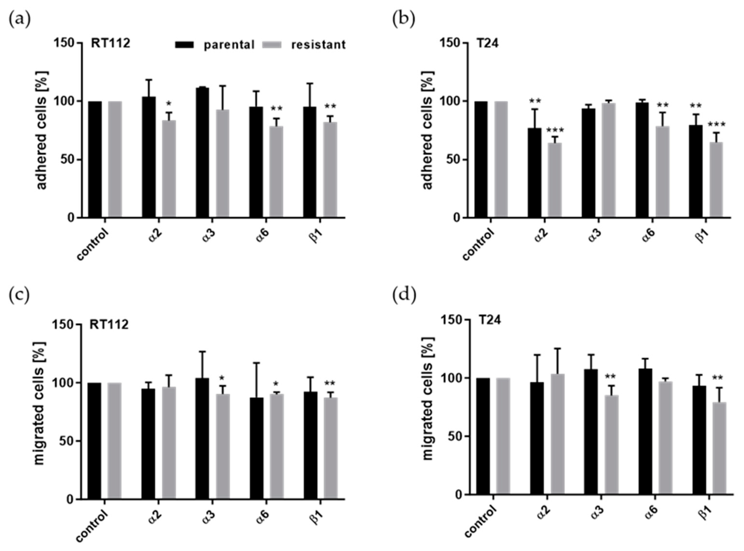 Cells 14 00570 g006 Cells 14 00570 g006