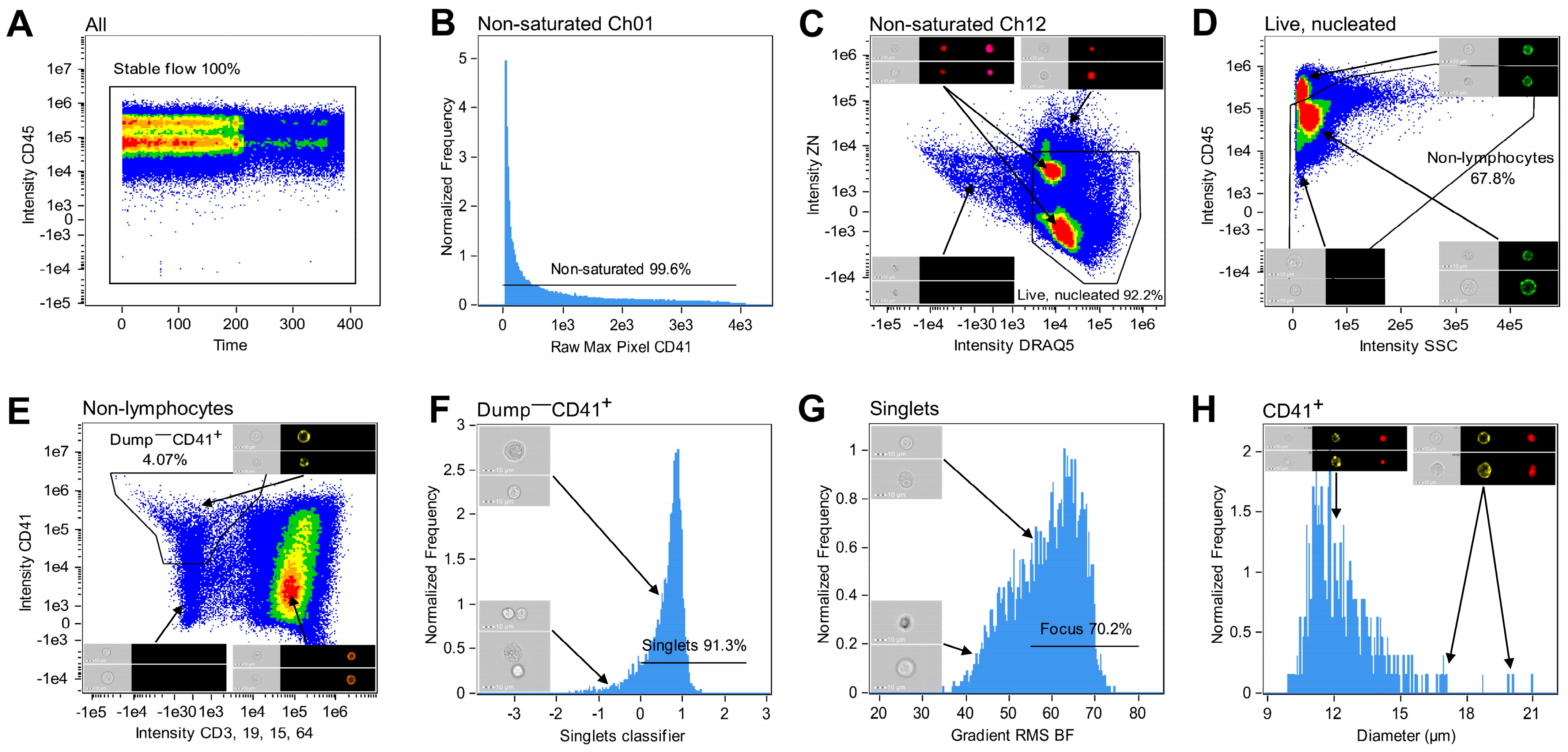 Cells 14 00588 g002 Cells 14 00588 g002