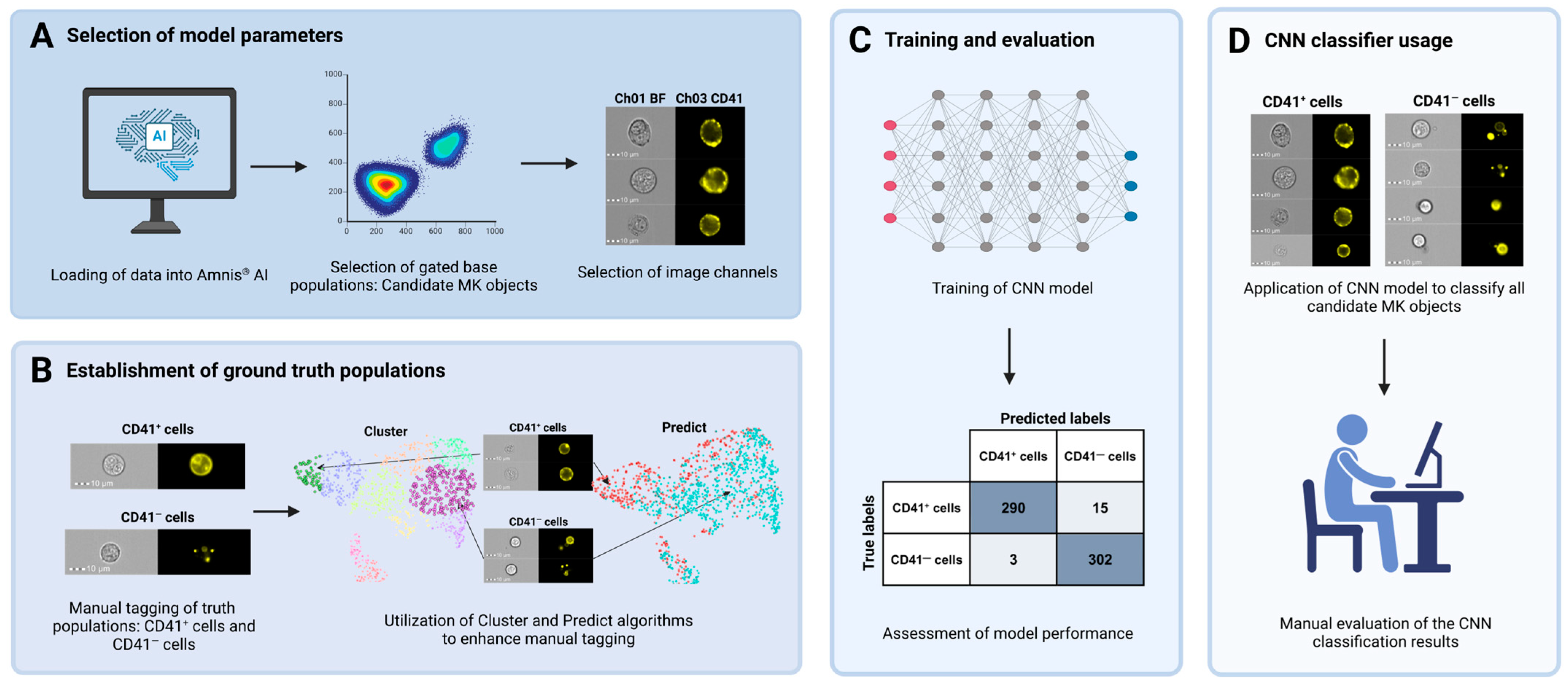 Cells 14 00588 g003 Cells 14 00588 g003