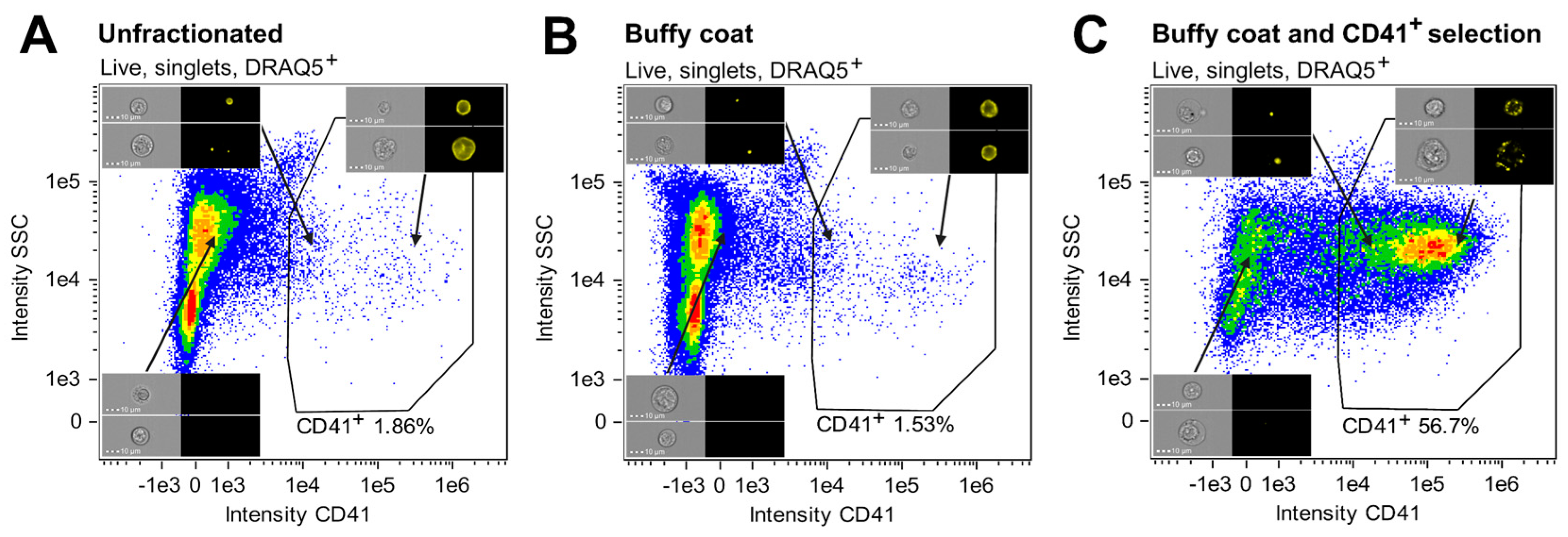 Cells 14 00588 g004 Cells 14 00588 g004