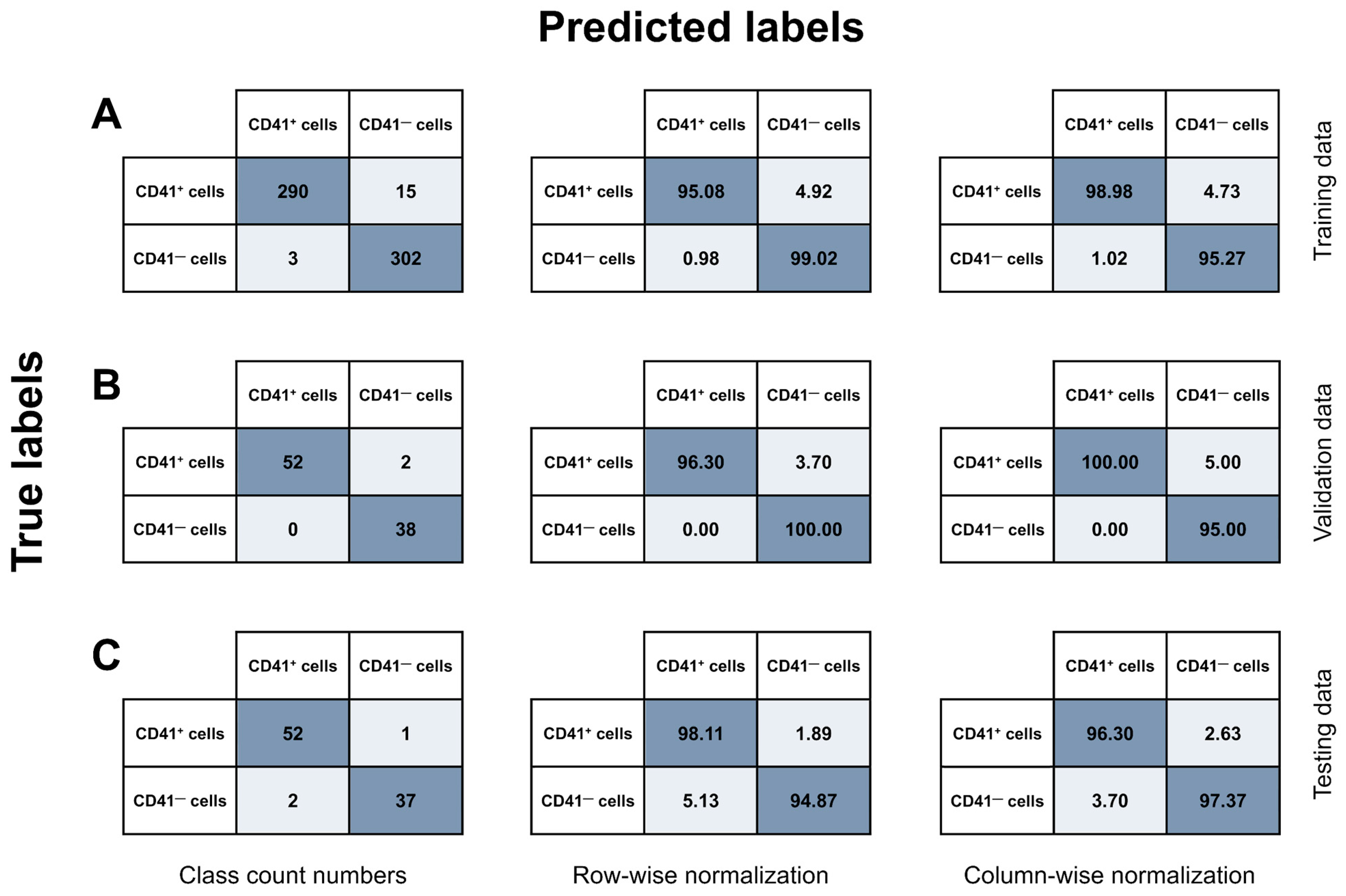 Cells 14 00588 g006 Cells 14 00588 g006