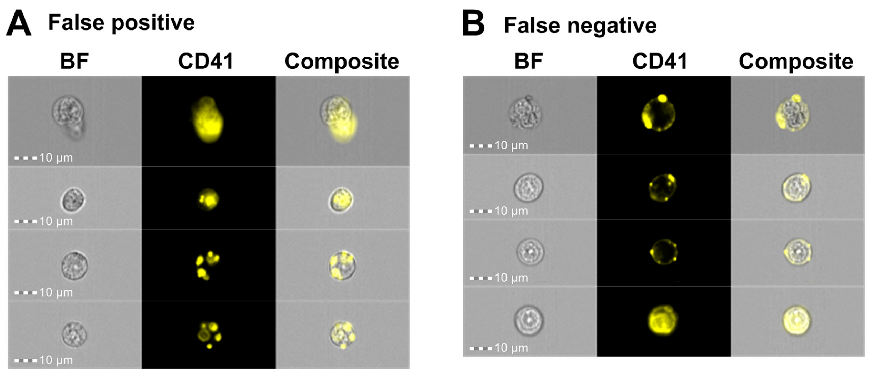 Cells 14 00588 g007 Cells 14 00588 g007