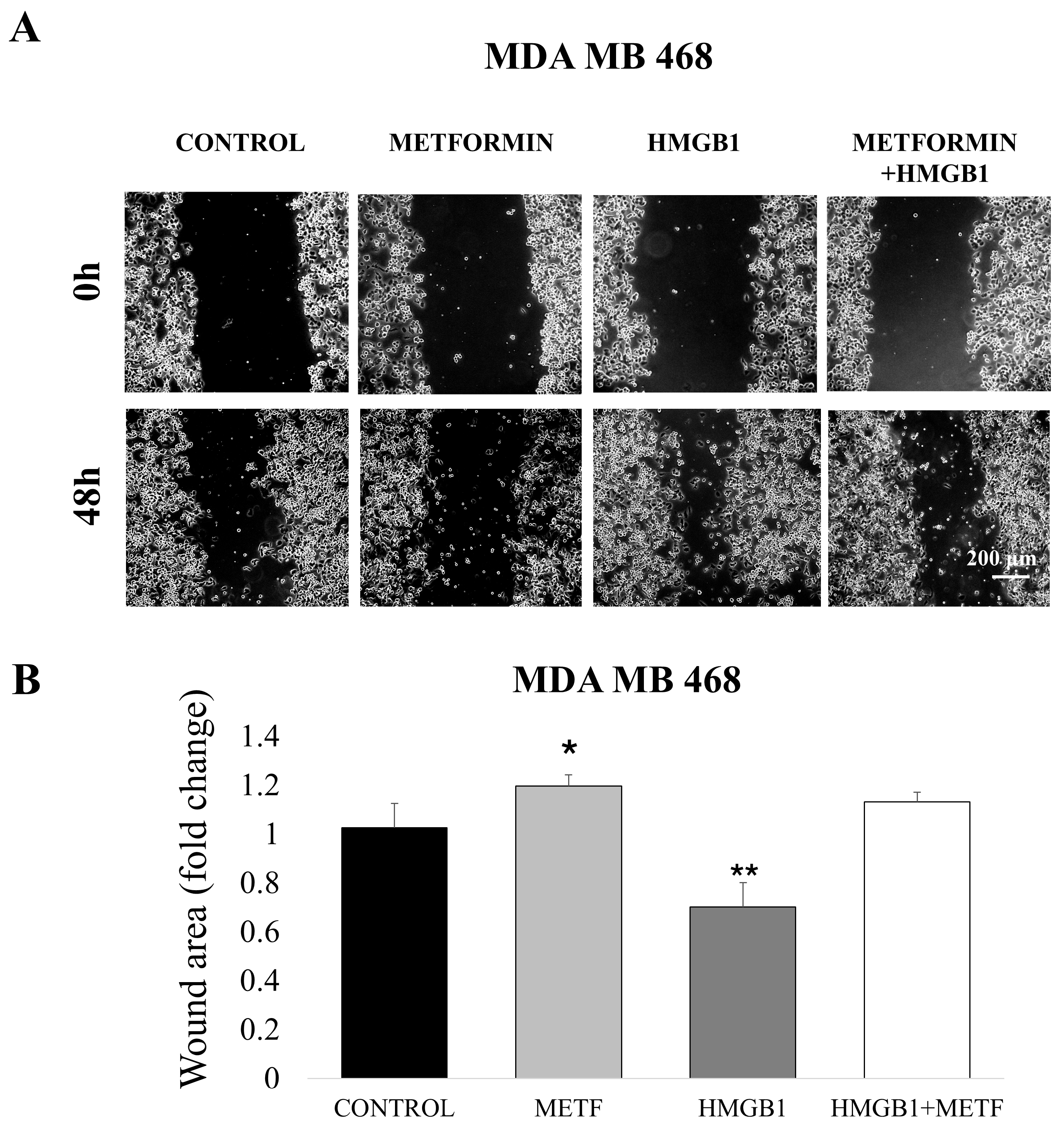 Cells 14 00590 g003 Cells 14 00590 g003