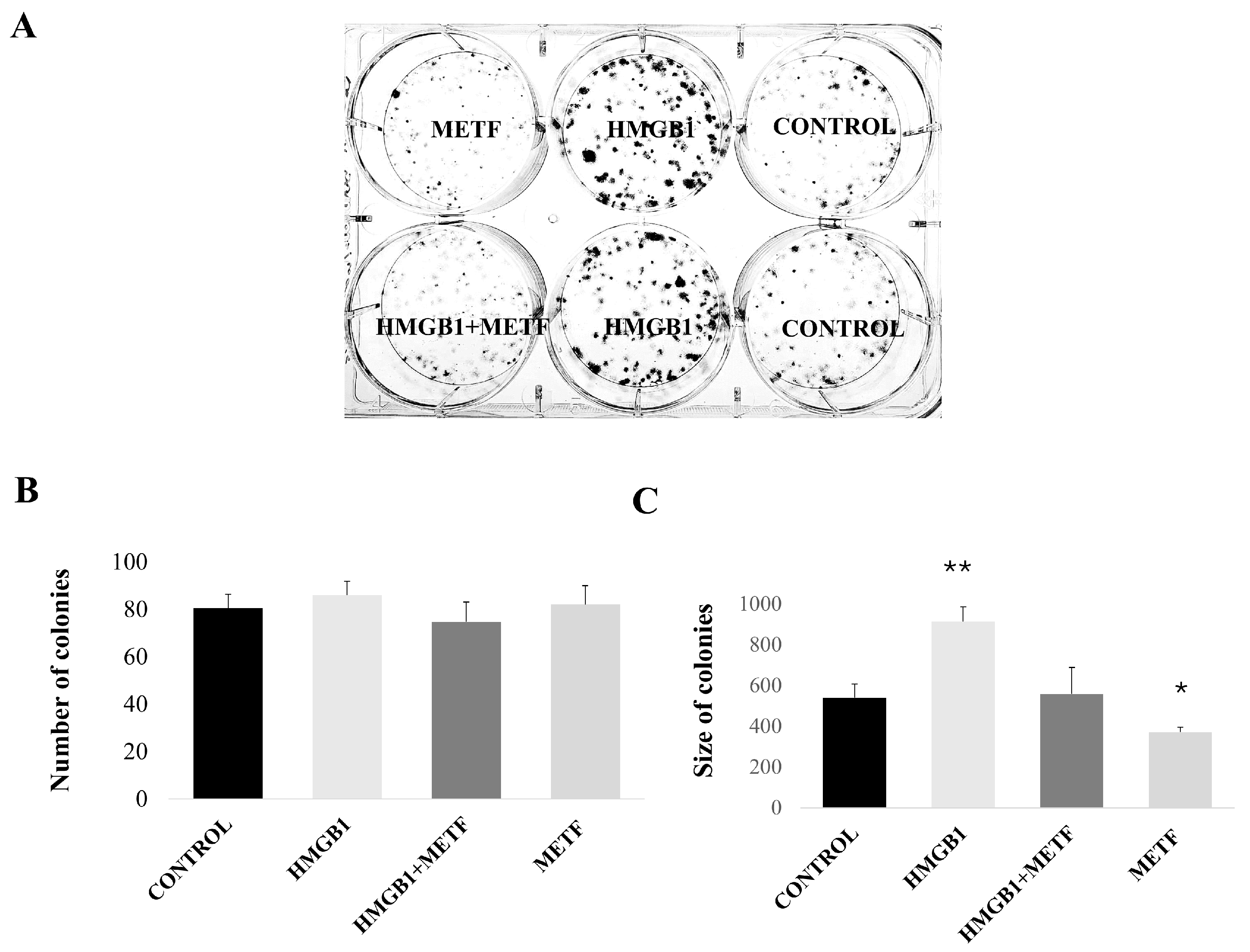 Cells 14 00590 g004 Cells 14 00590 g004