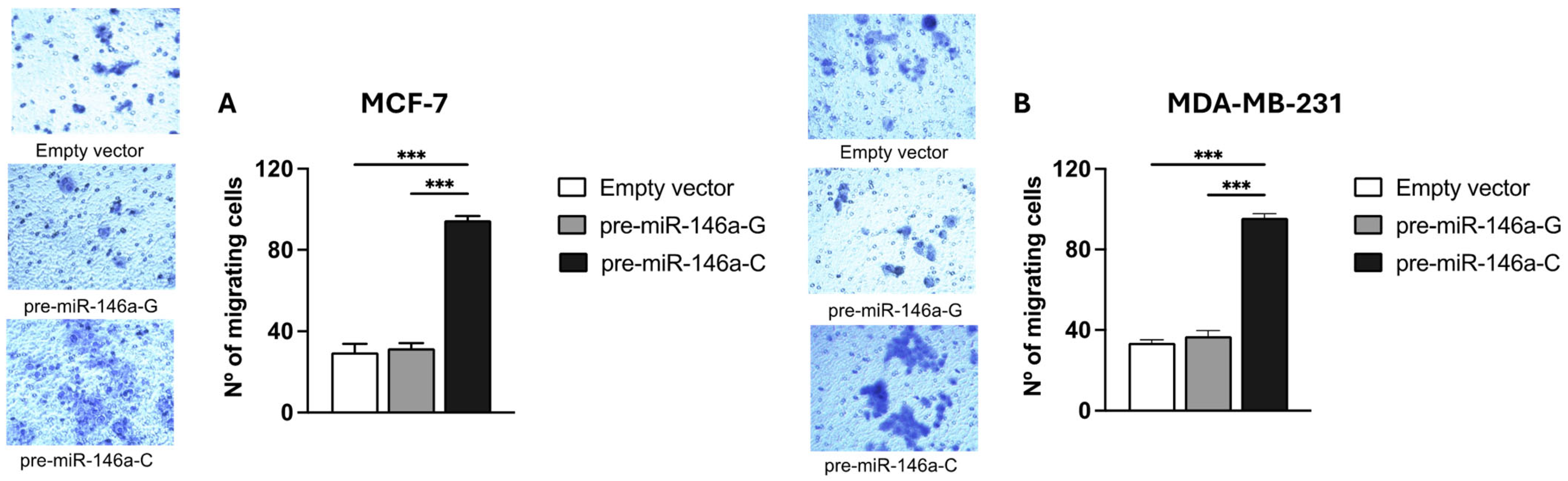 Cells 14 00612 g005 Cells 14 00612 g005