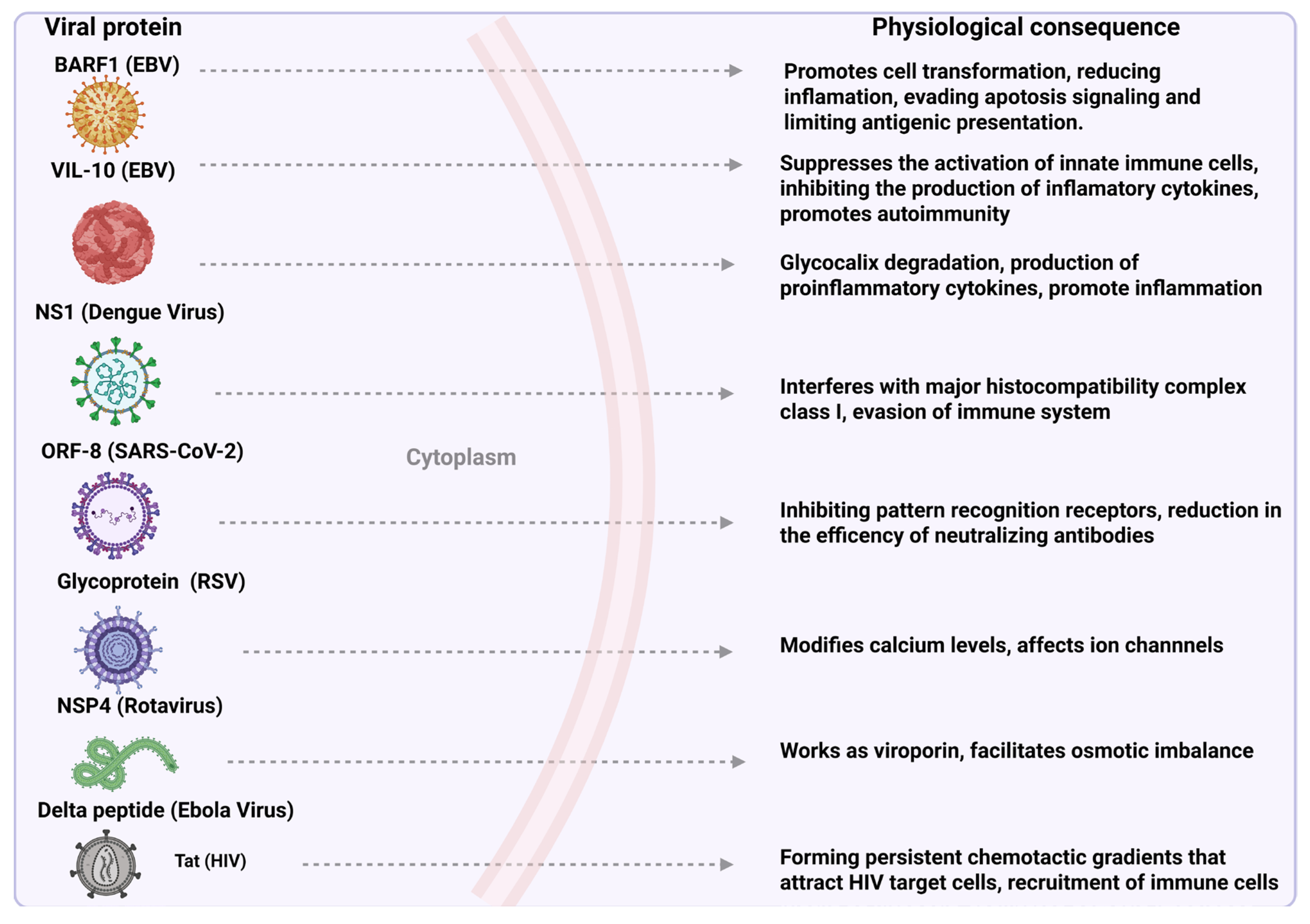 Cells 14 00624 g002 Cells 14 00624 g002