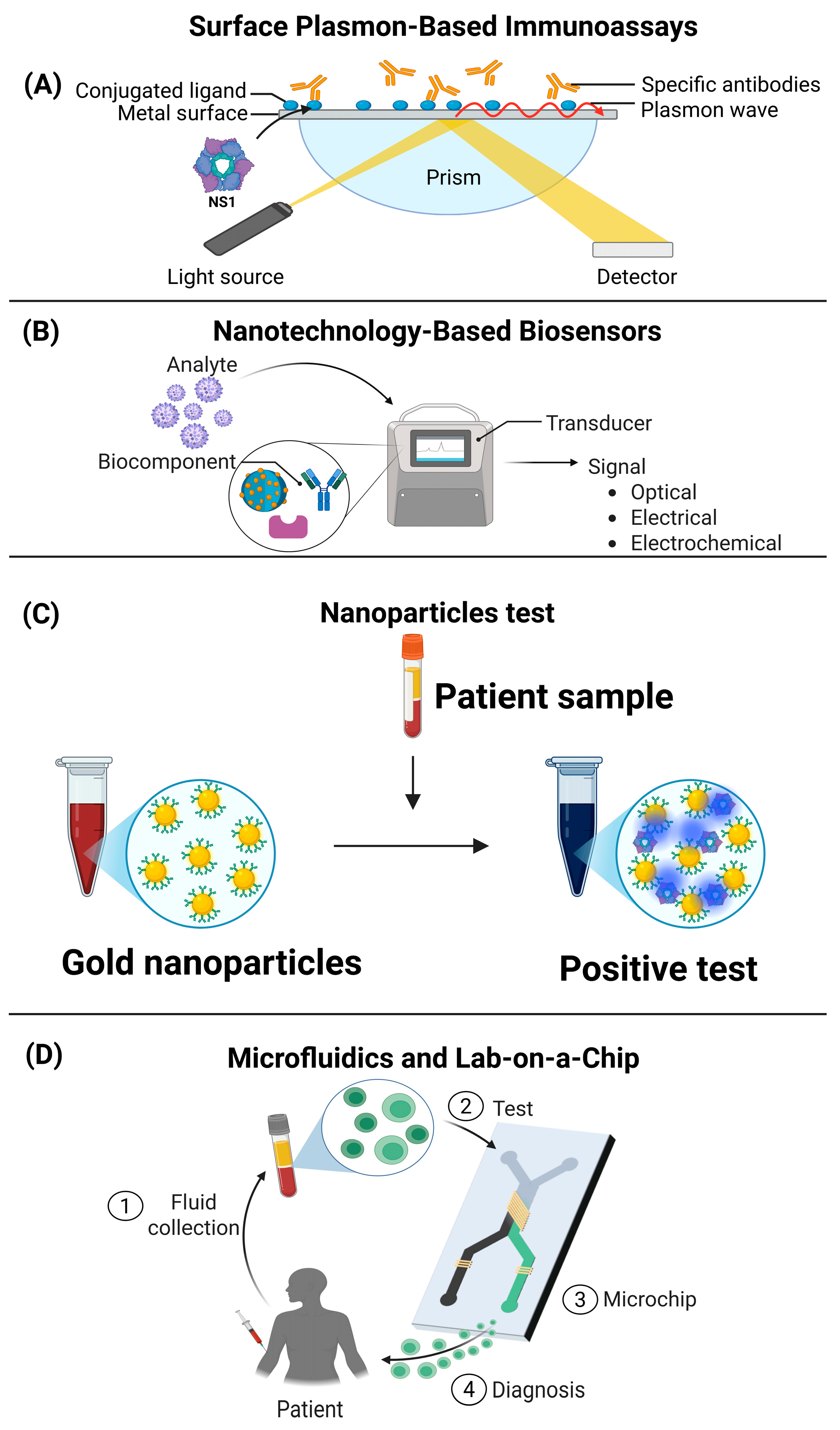 Cells 14 00624 g003 Cells 14 00624 g003