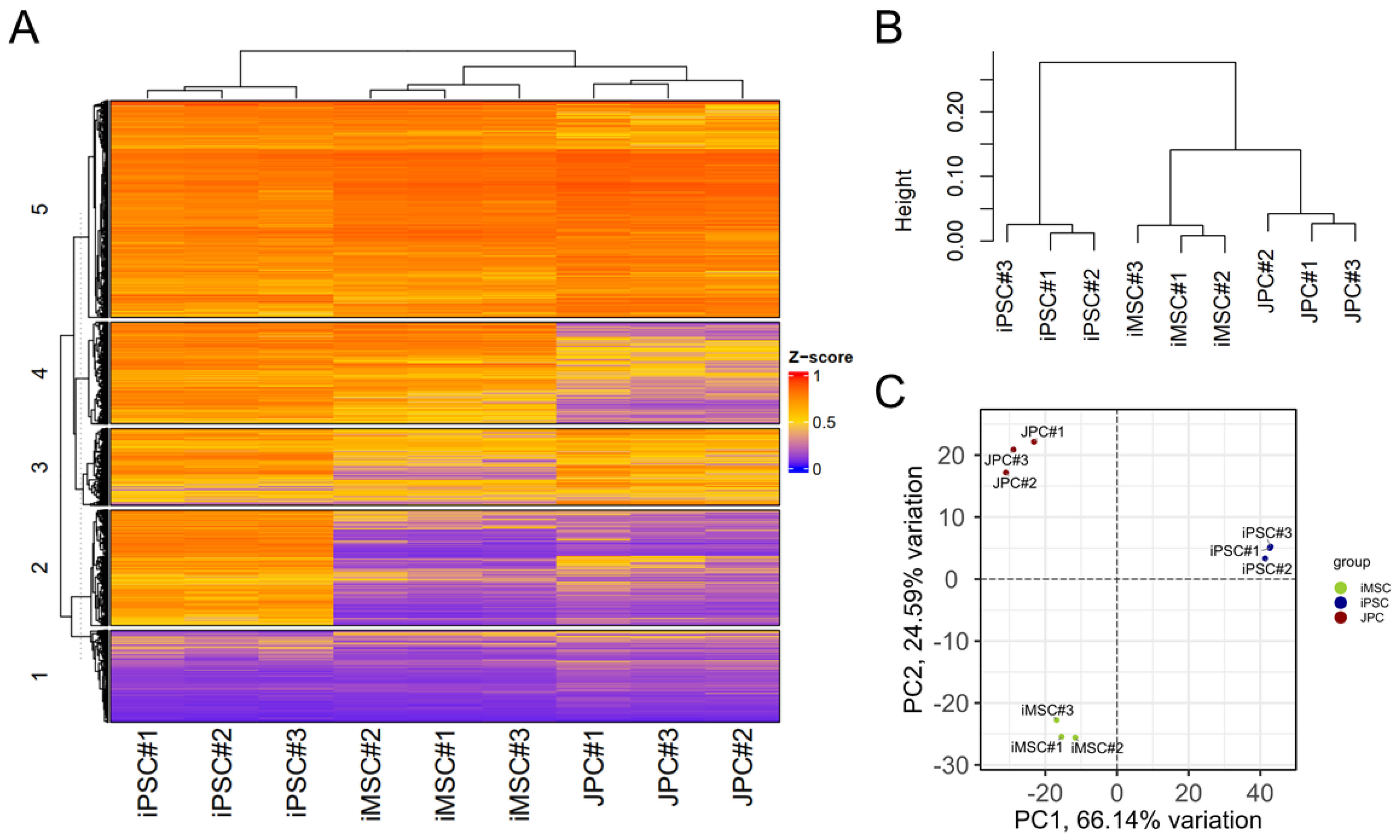 Cells 14 00627 g005 Cells 14 00627 g005