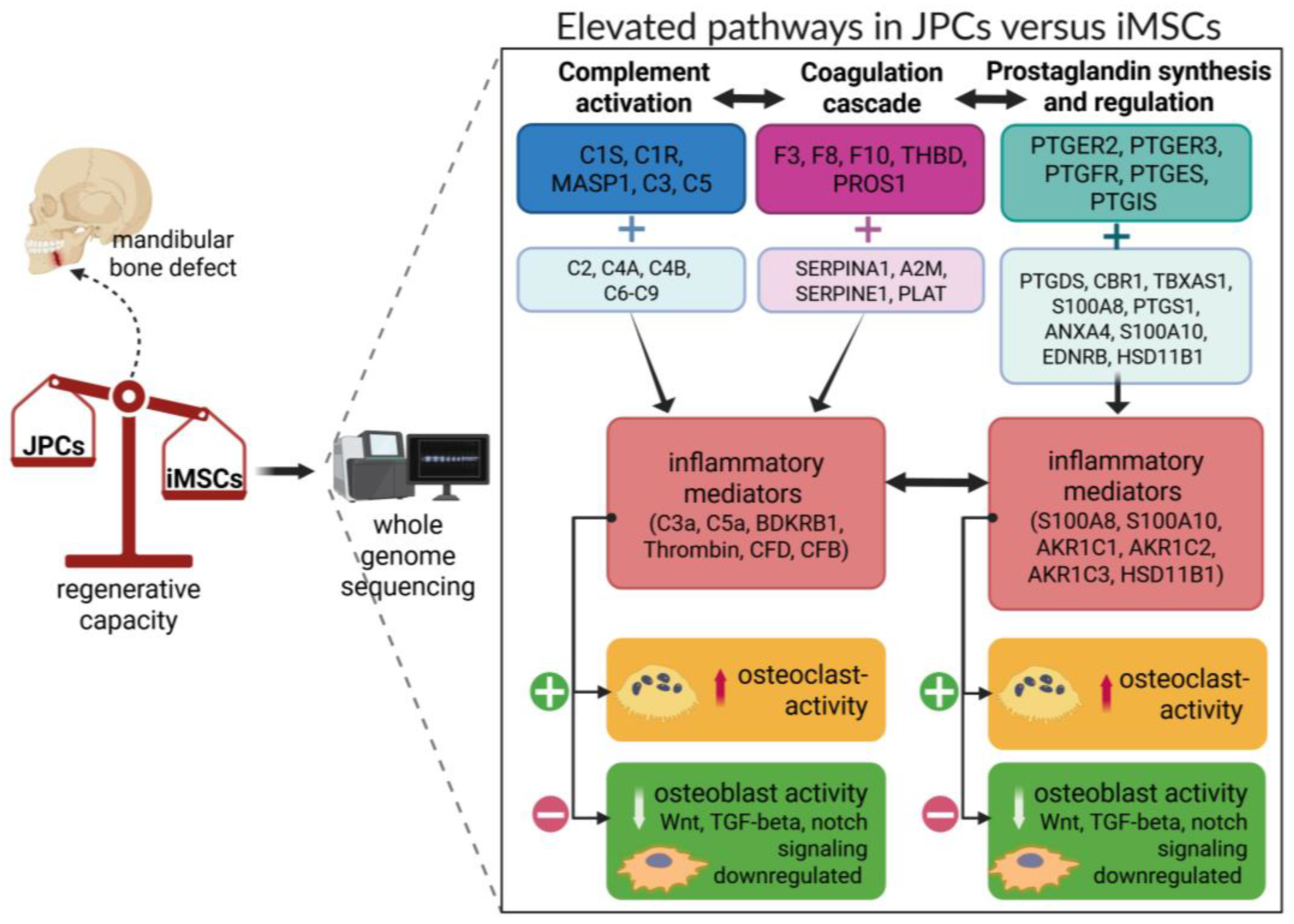 Cells 14 00627 g009 Cells 14 00627 g009