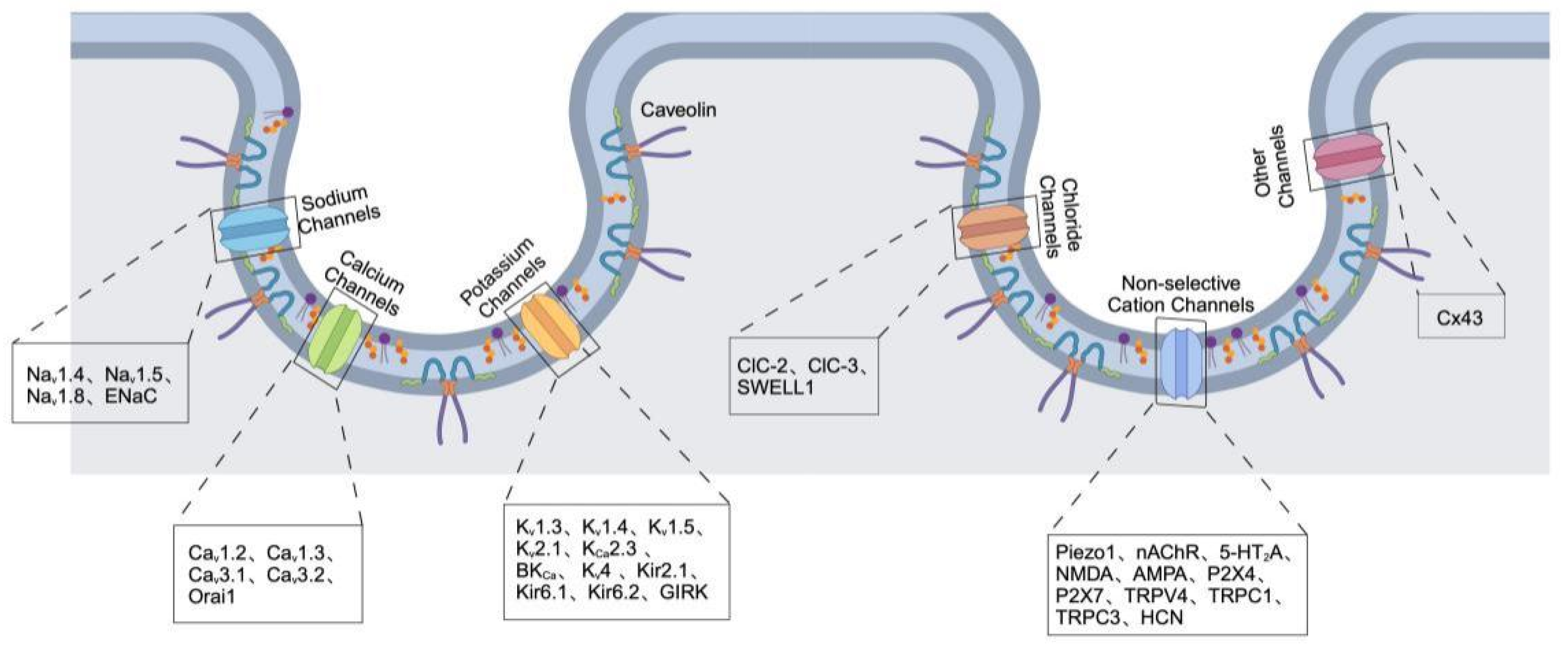 Cells 14 00631 g002 Cells 14 00631 g002