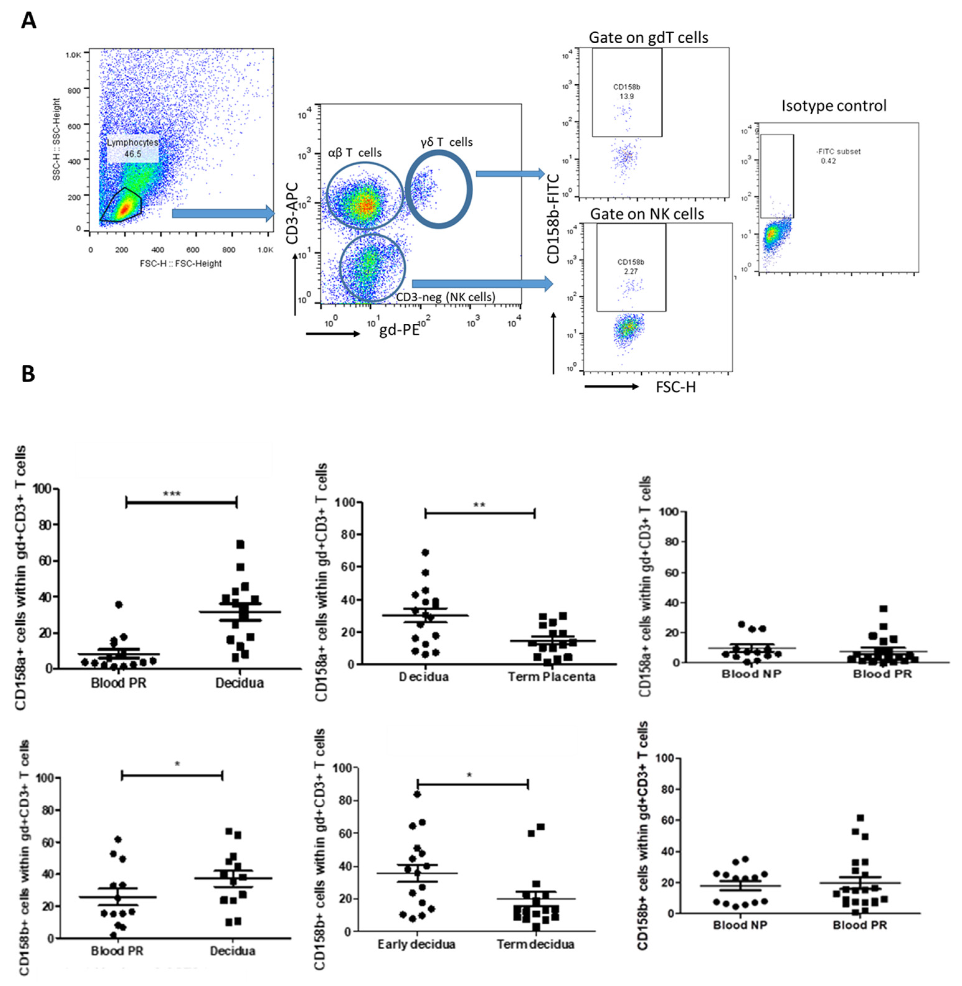 Cells 14 00649 g002