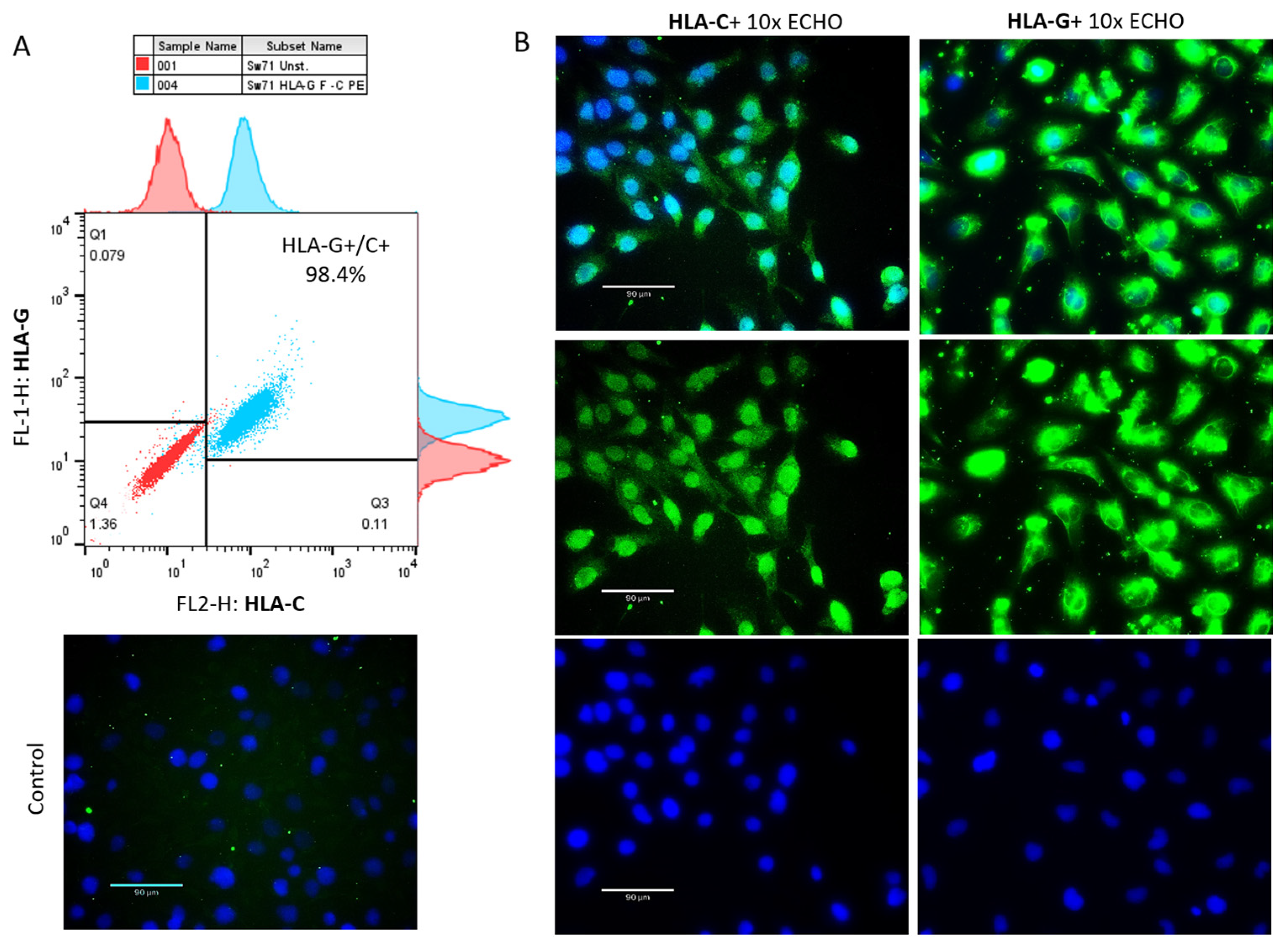 Cells 14 00649 g004