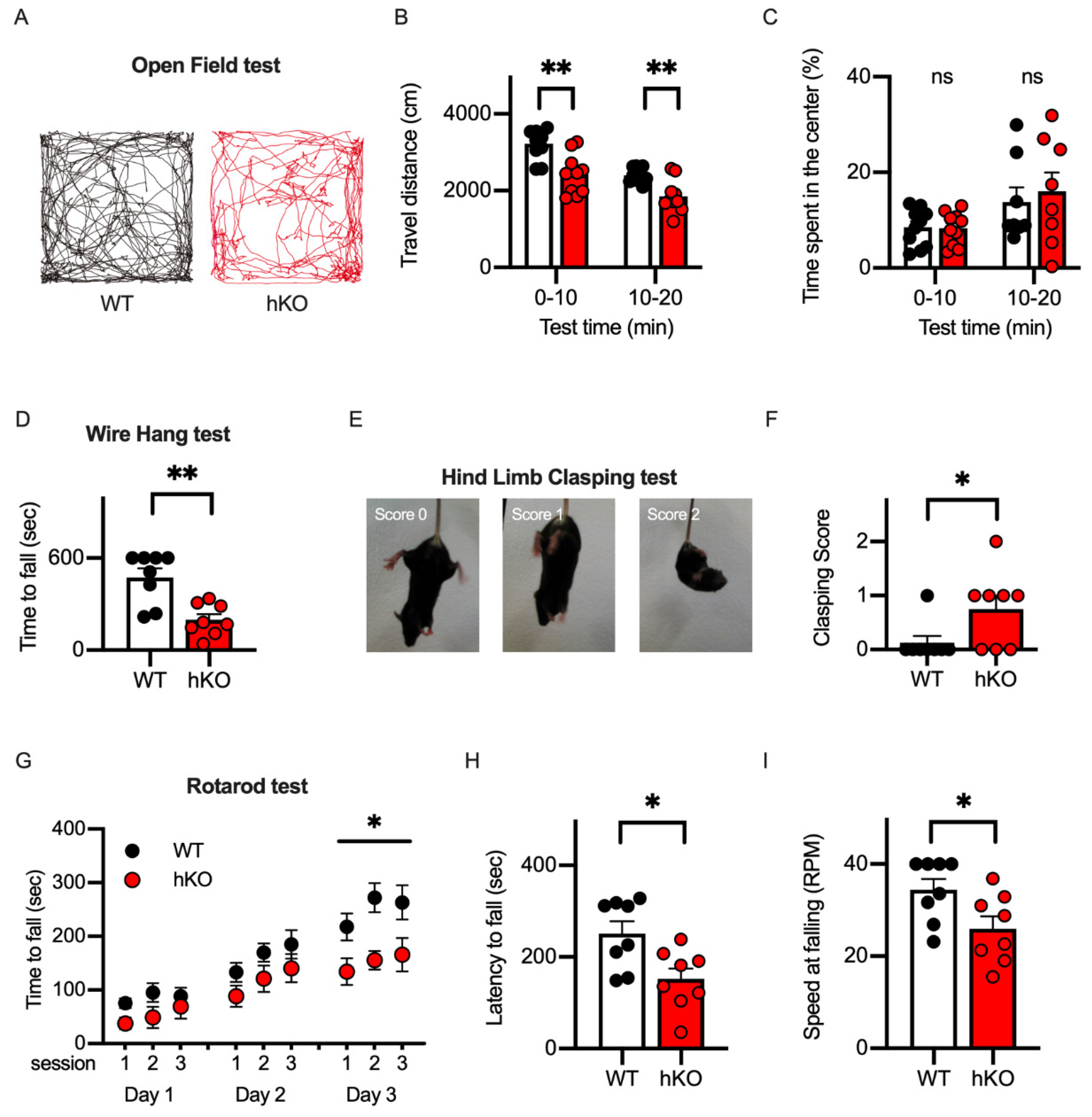 Cells 14 00735 g002 Cells 14 00735 g002