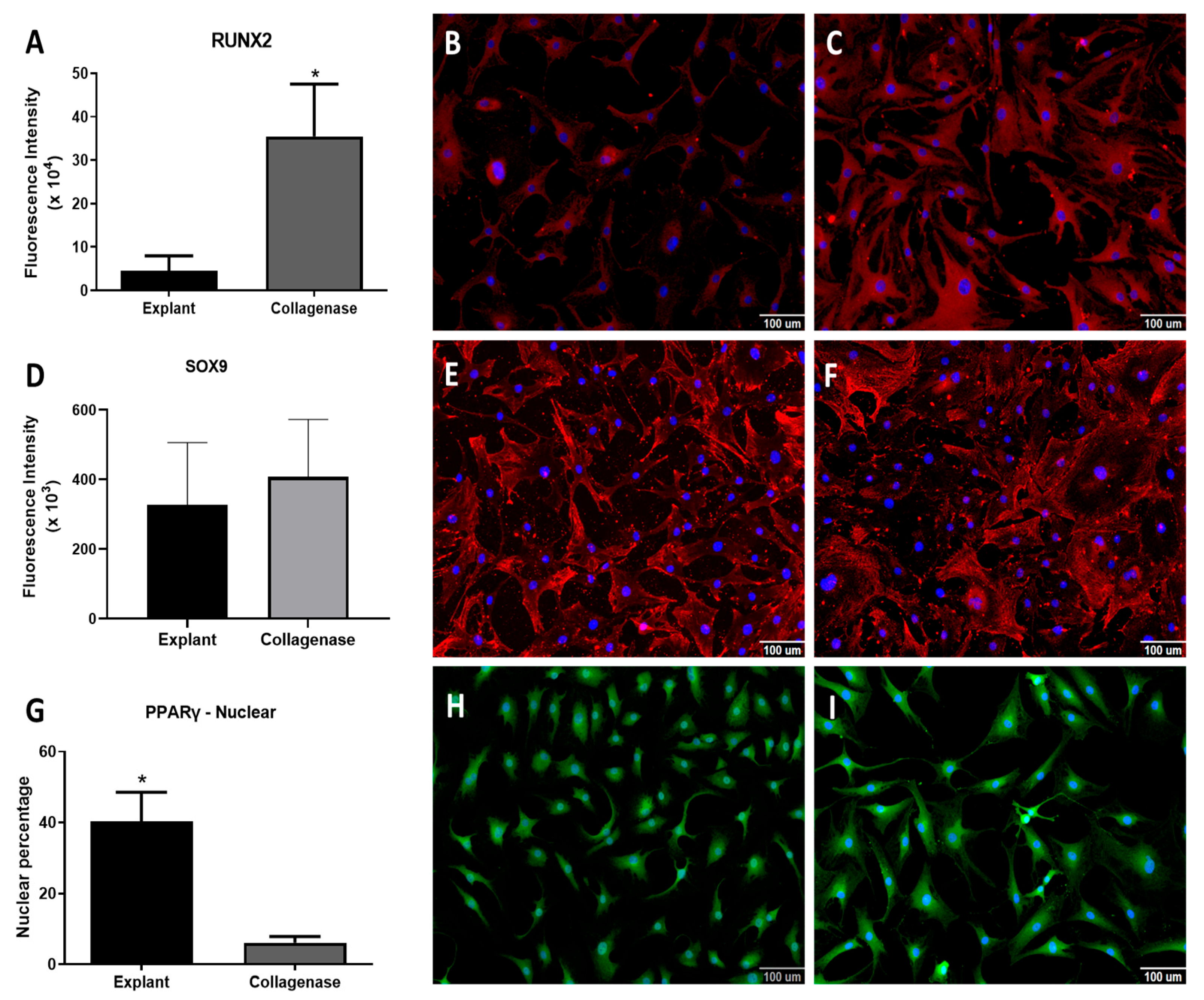 Cells 14 00830 g004