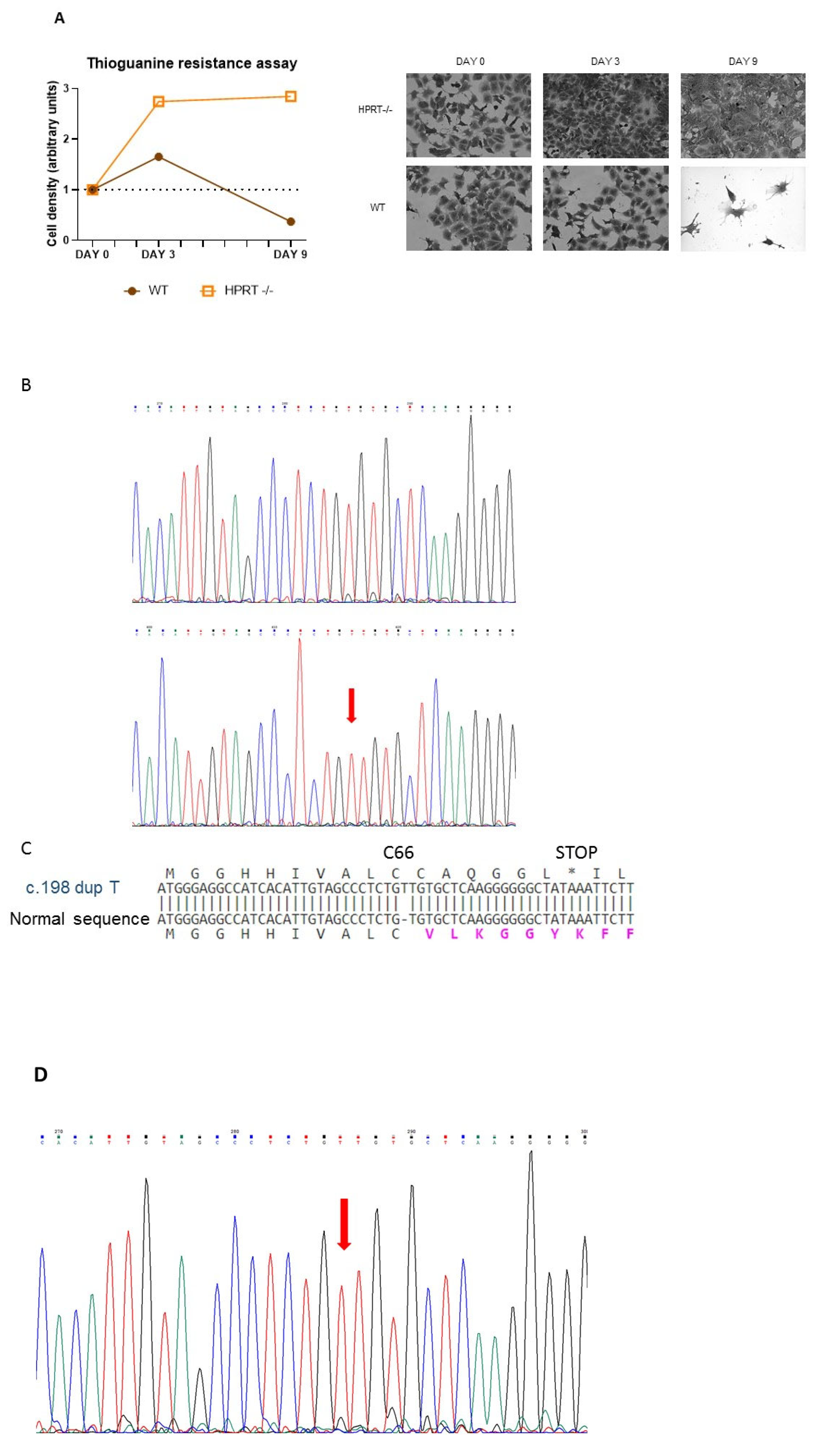 Cells 14 01105 g001a
