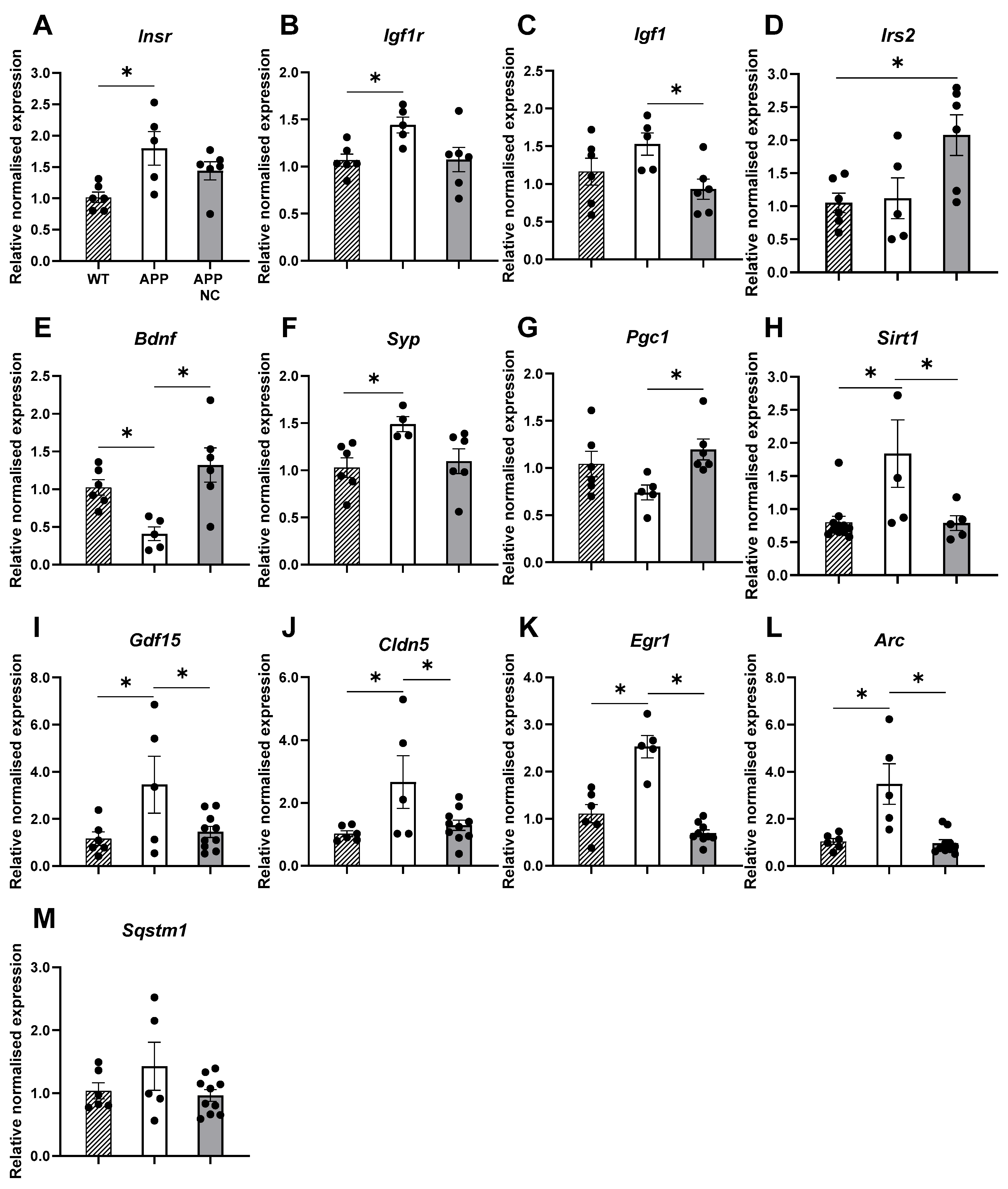 Cells 14 01293 g006 Cells 14 01293 g006