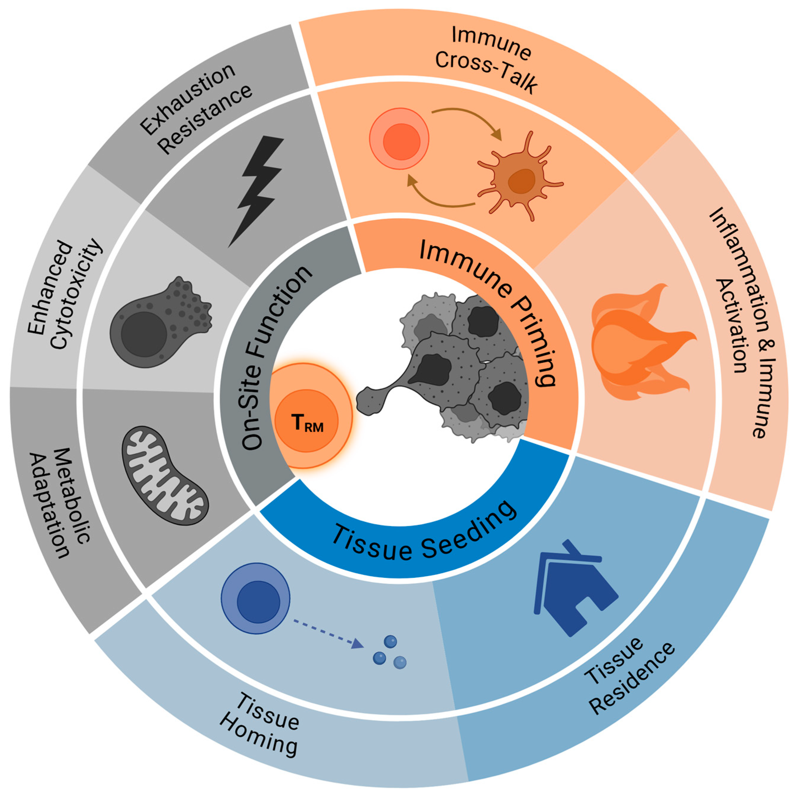 Cells 14 01297 g001 Cells 14 01297 g001