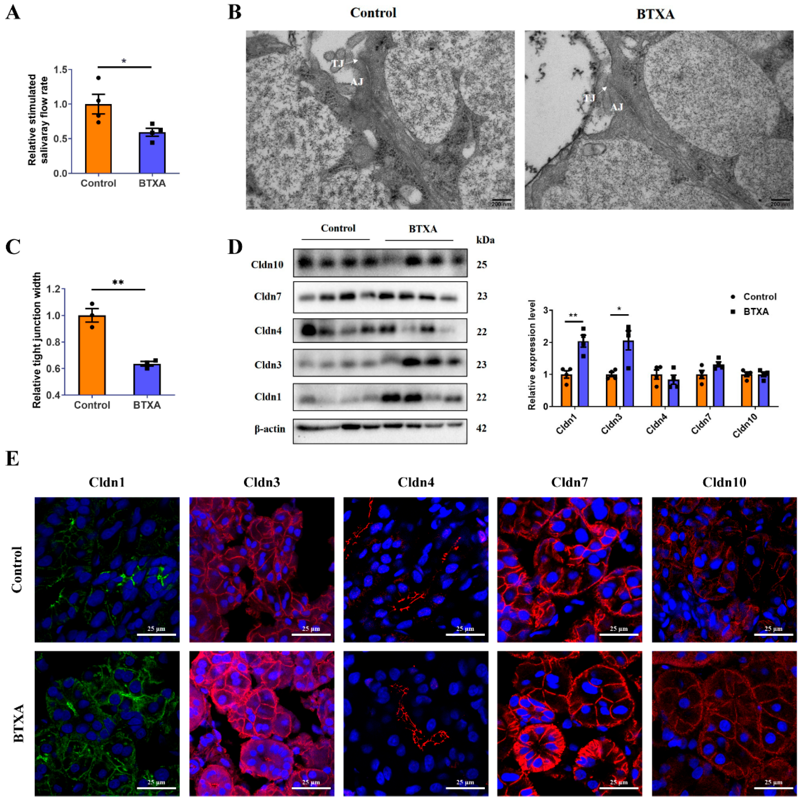 Cells 14 01366 g001 Cells 14 01366 g001
