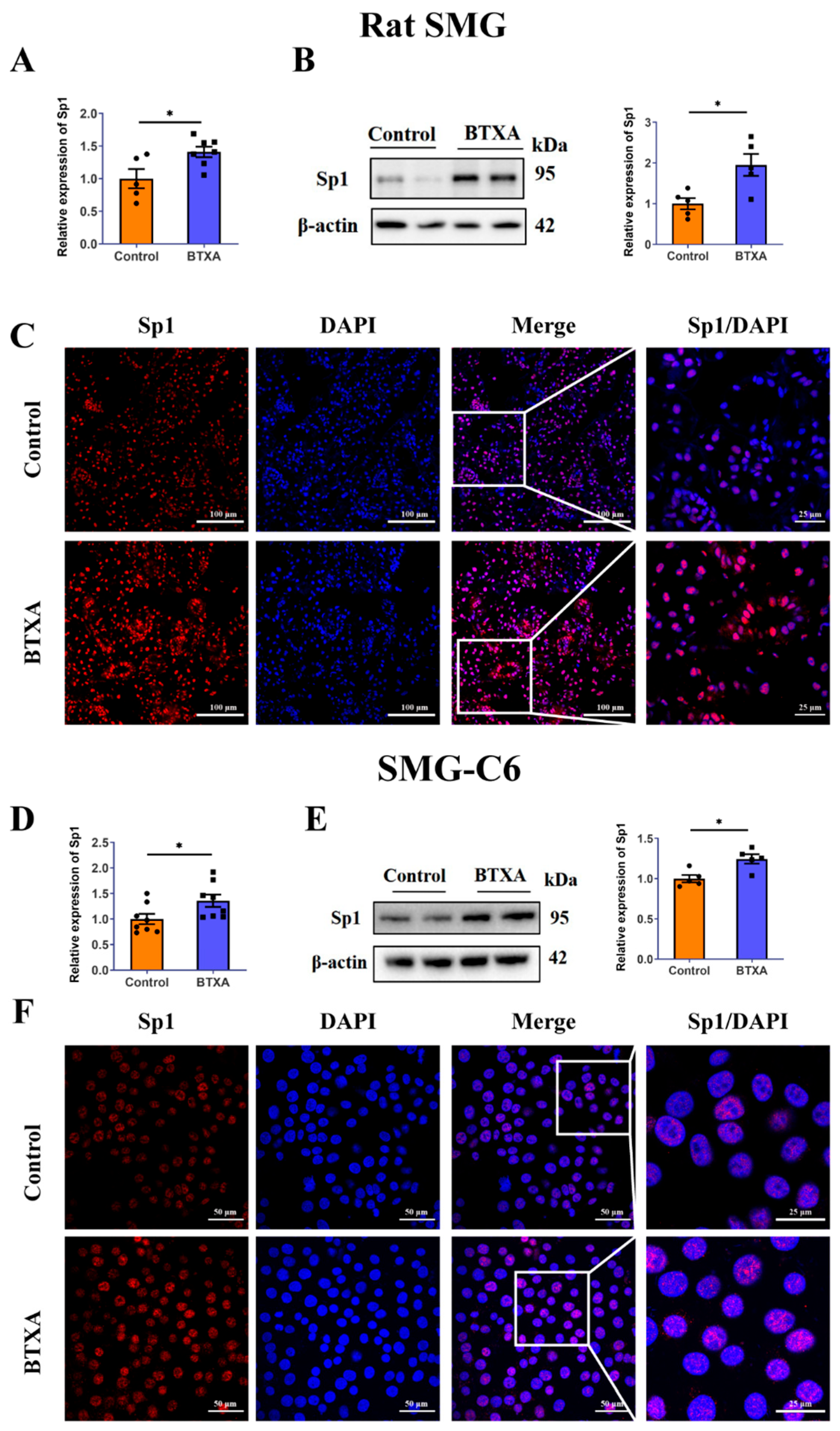Cells 14 01366 g004 Cells 14 01366 g004