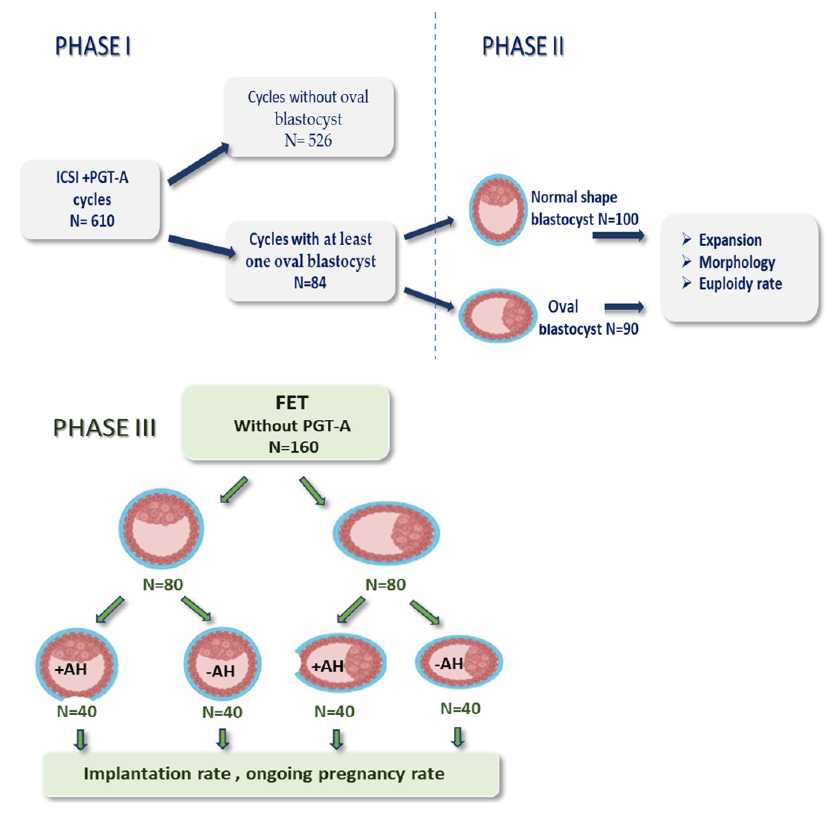 Cells 14 01468 g002 Cells 14 01468 g002