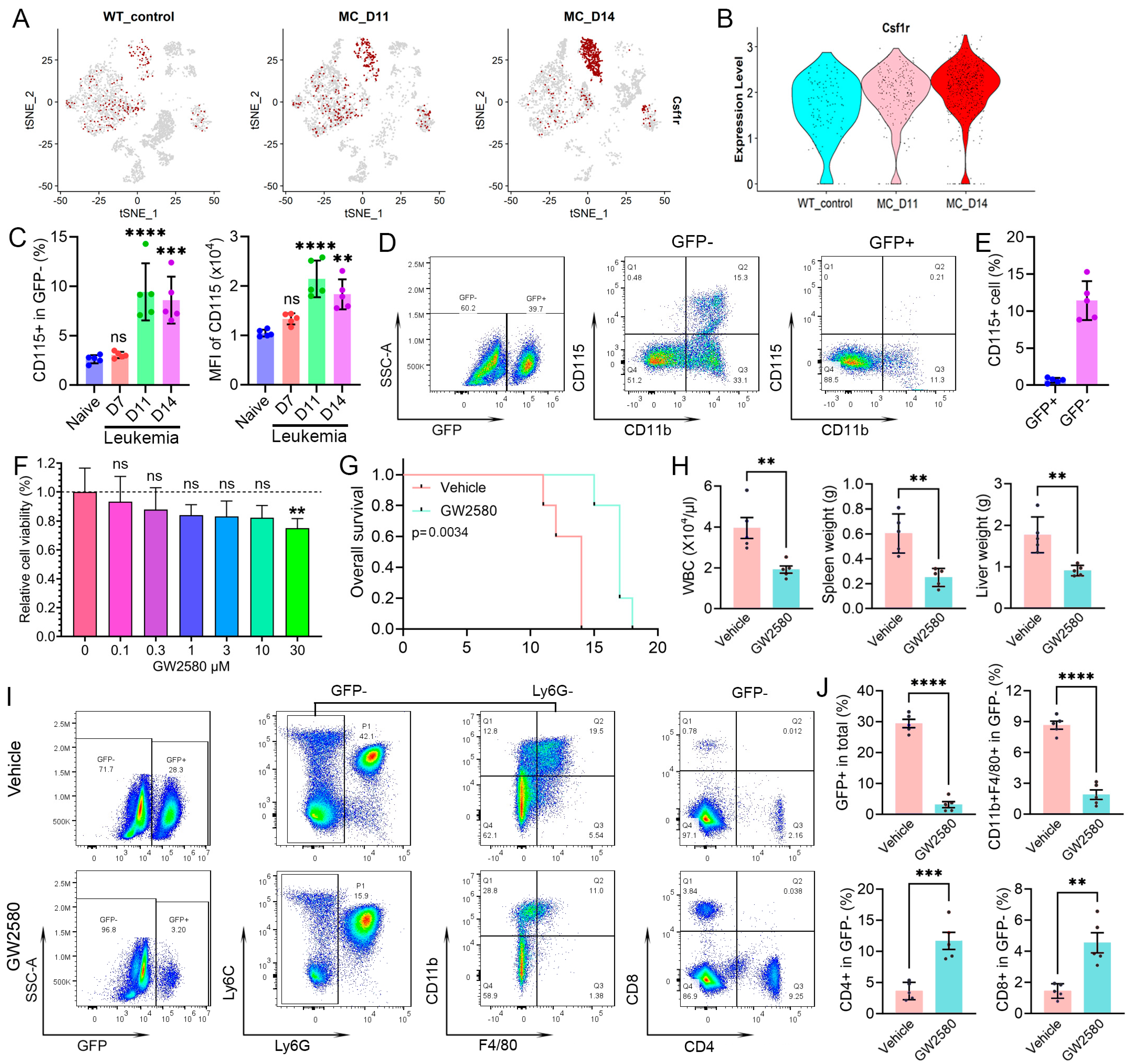 Cells 14 01533 g007 Cells 14 01533 g007