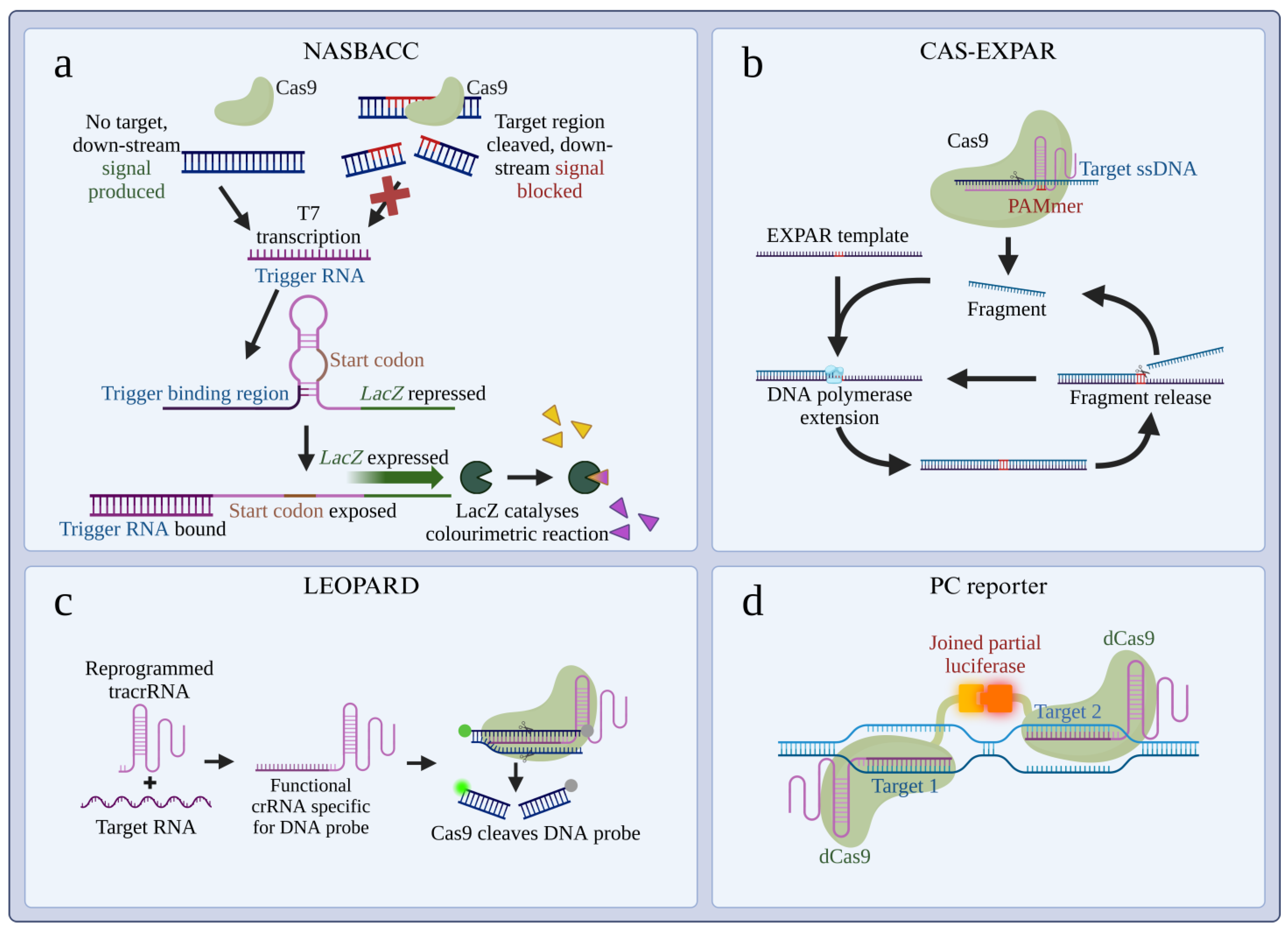 Cells 14 01539 g002 Cells 14 01539 g002