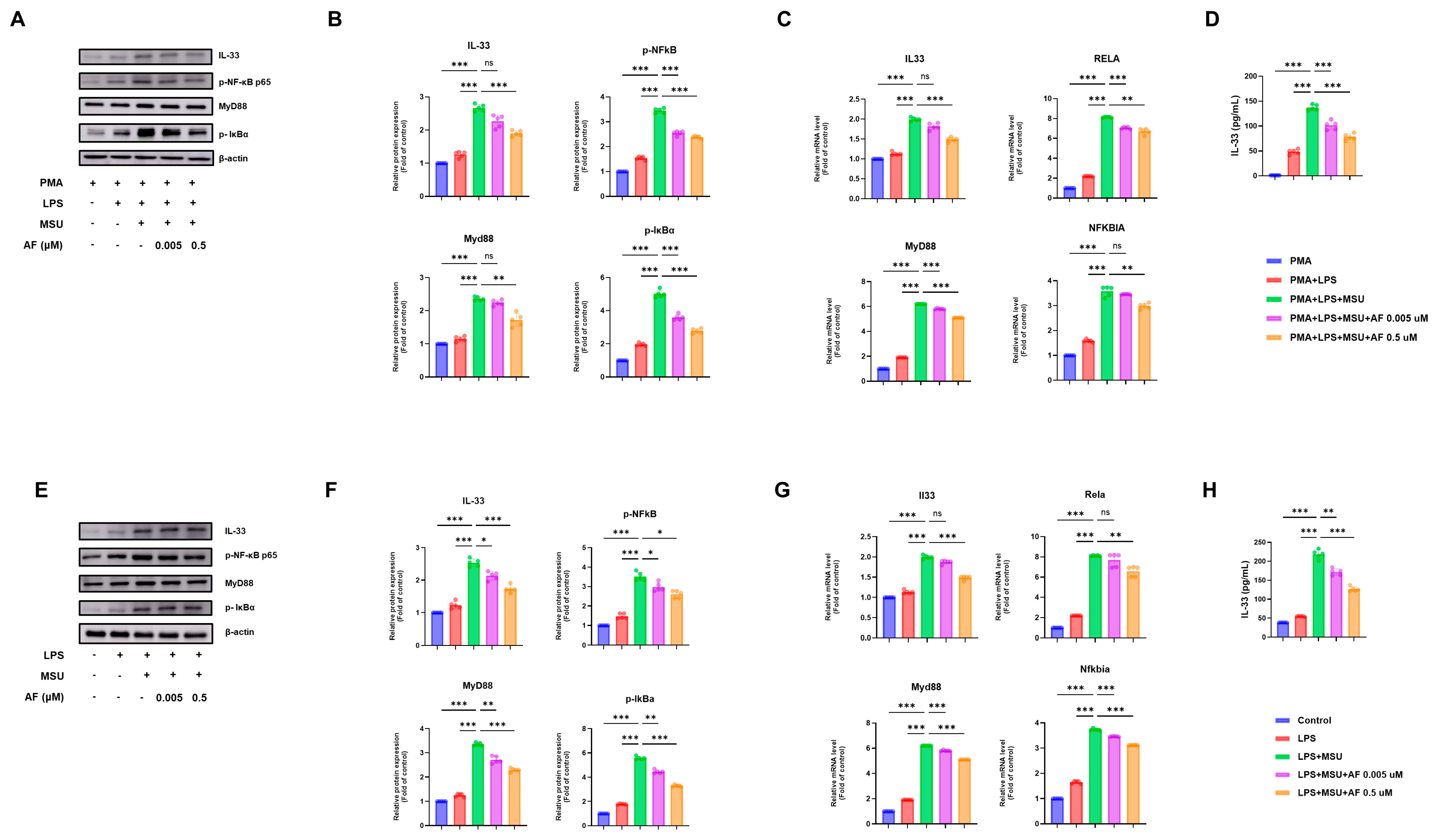 Cells 14 01541 g005 Cells 14 01541 g005