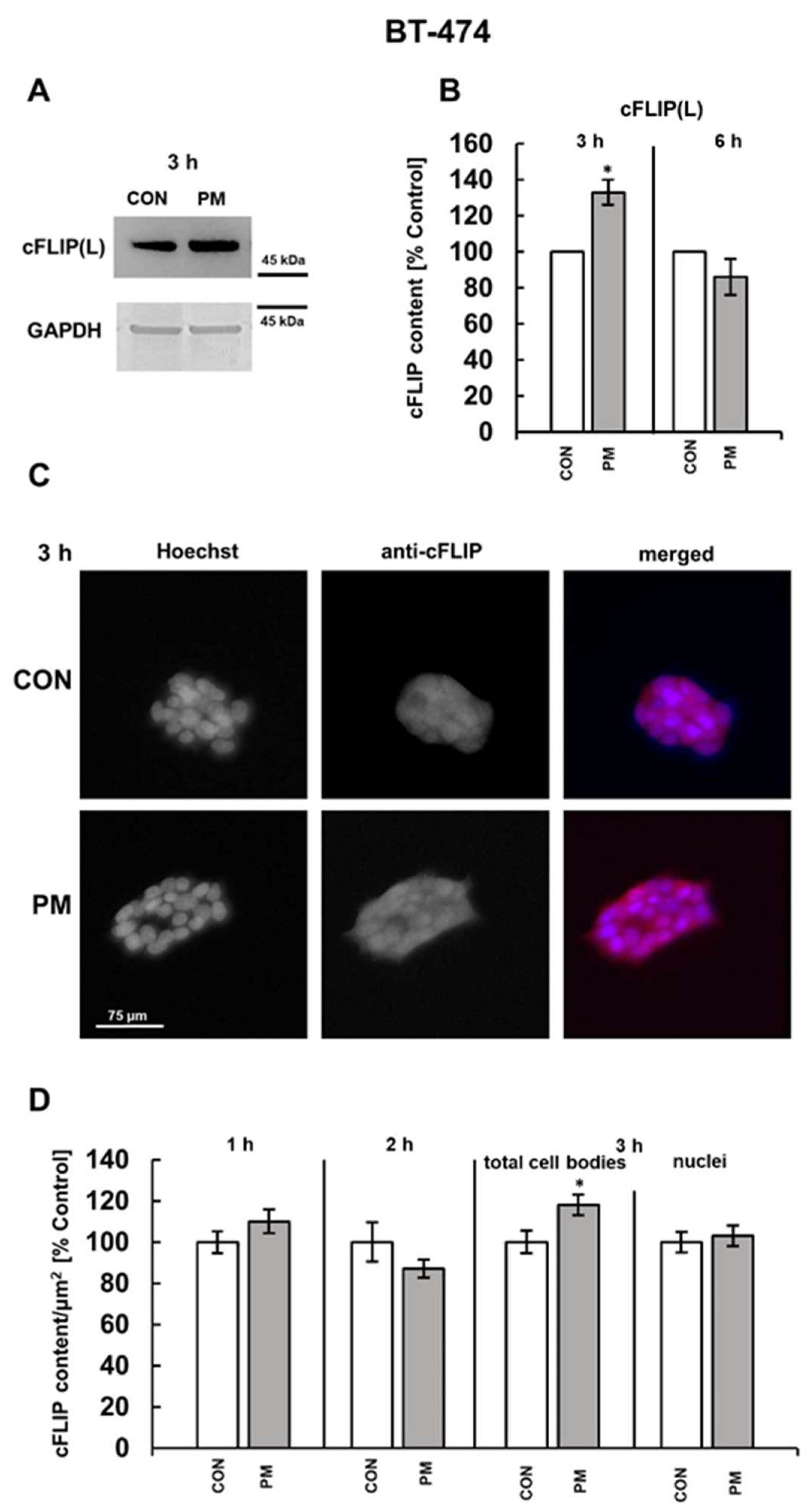 Cells 14 01581 g003 Cells 14 01581 g003