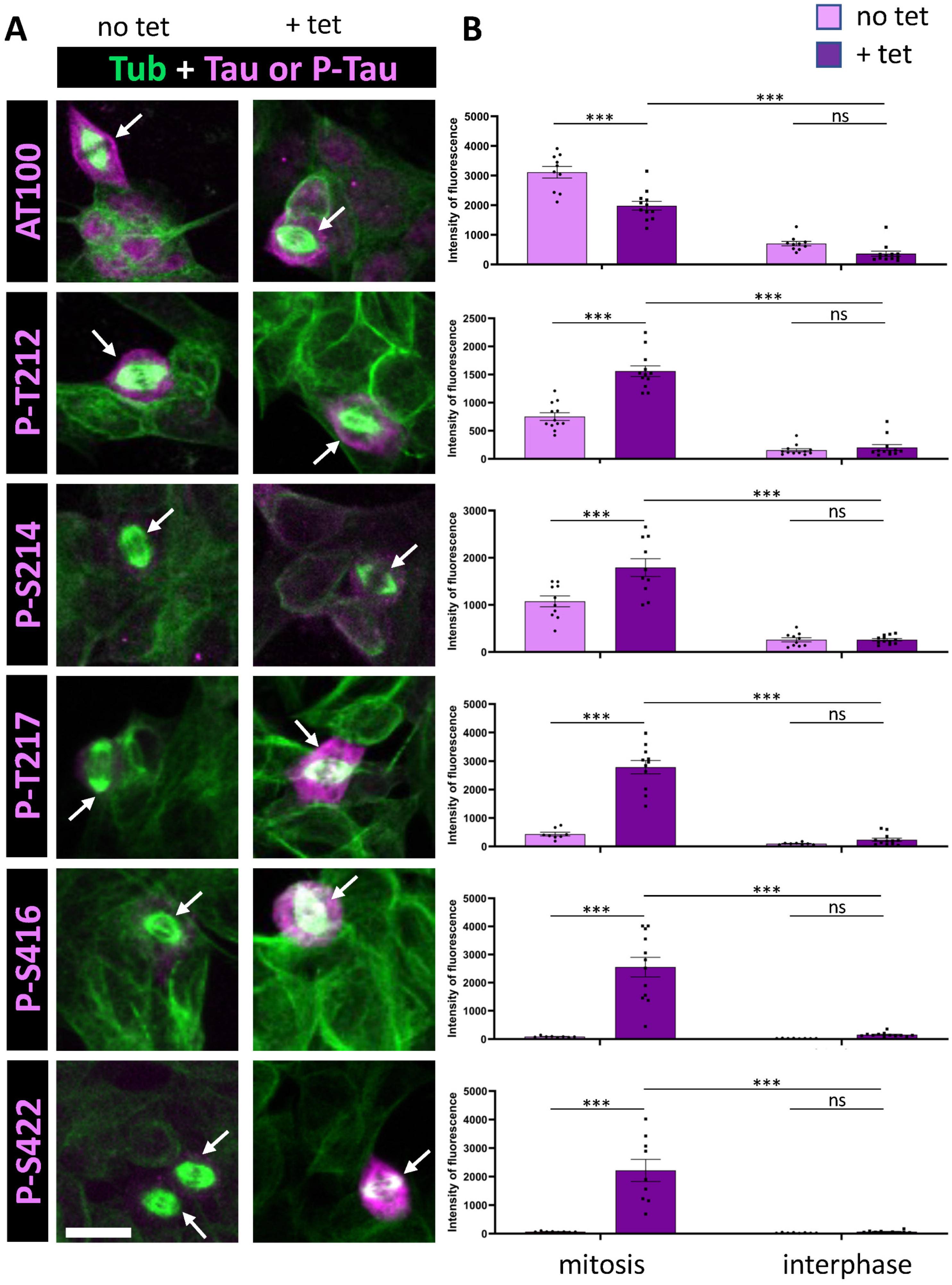 Cells 14 01638 g002 Cells 14 01638 g002