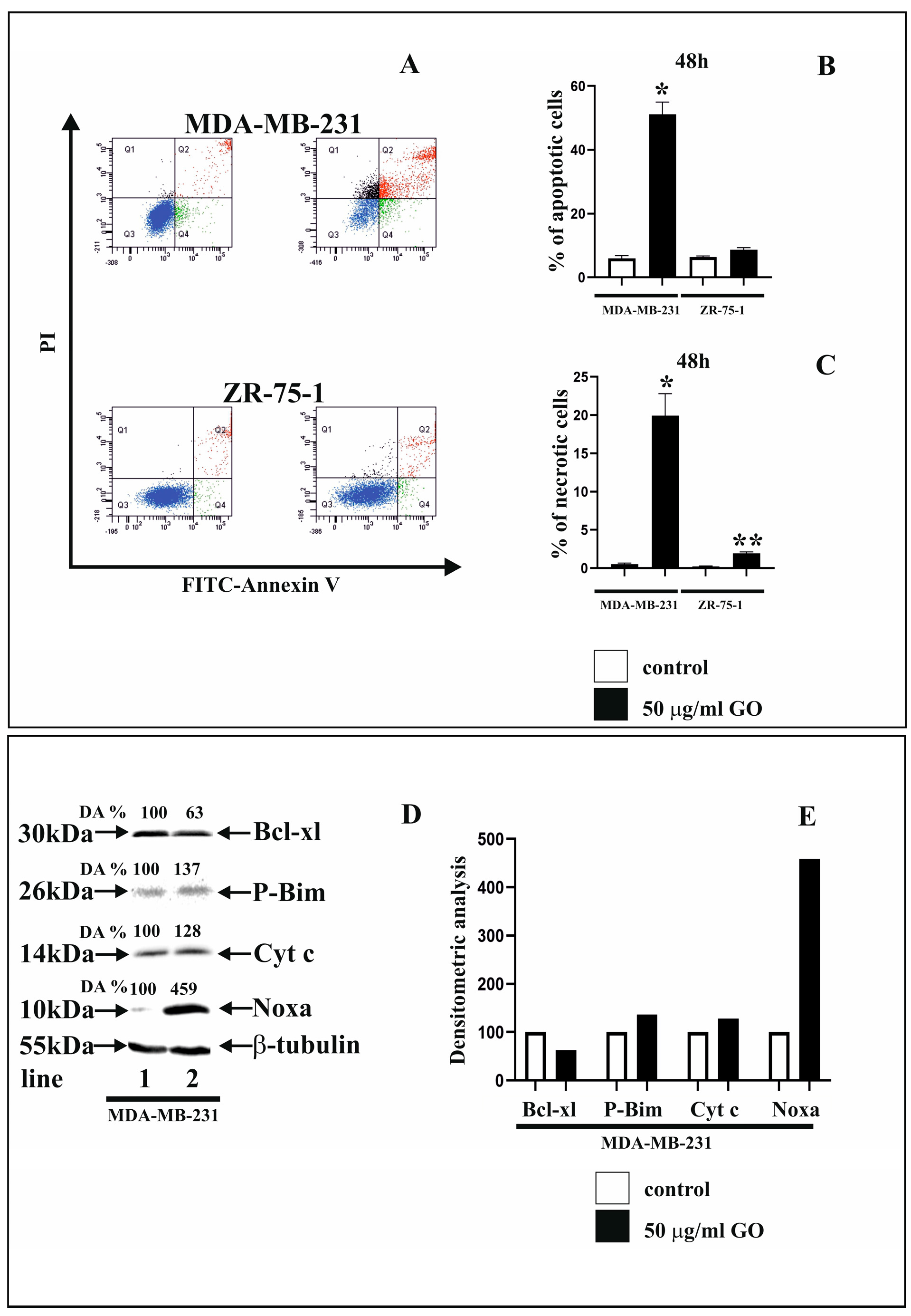 Cells 14 01717 g002 Cells 14 01717 g002
