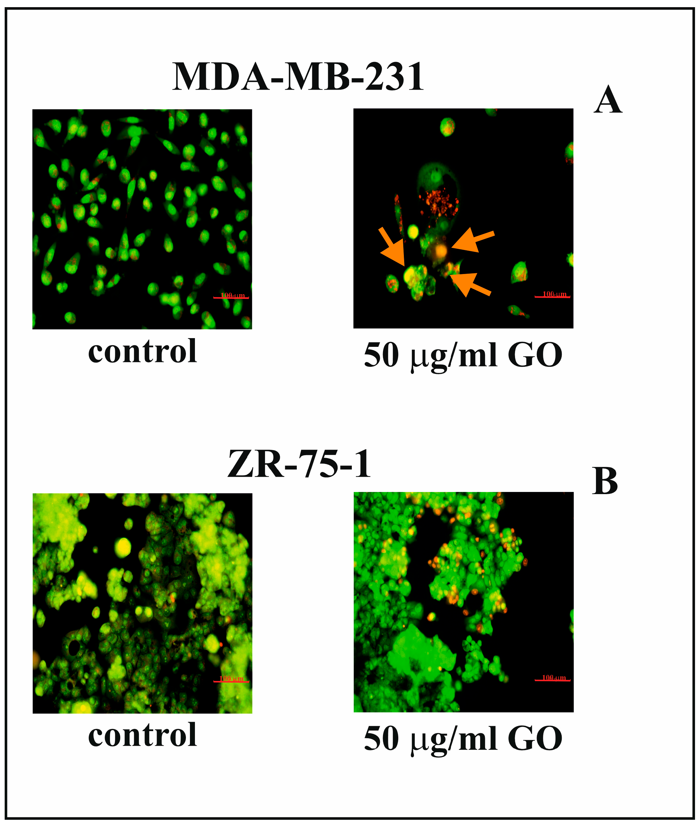 Cells 14 01717 g003 Cells 14 01717 g003