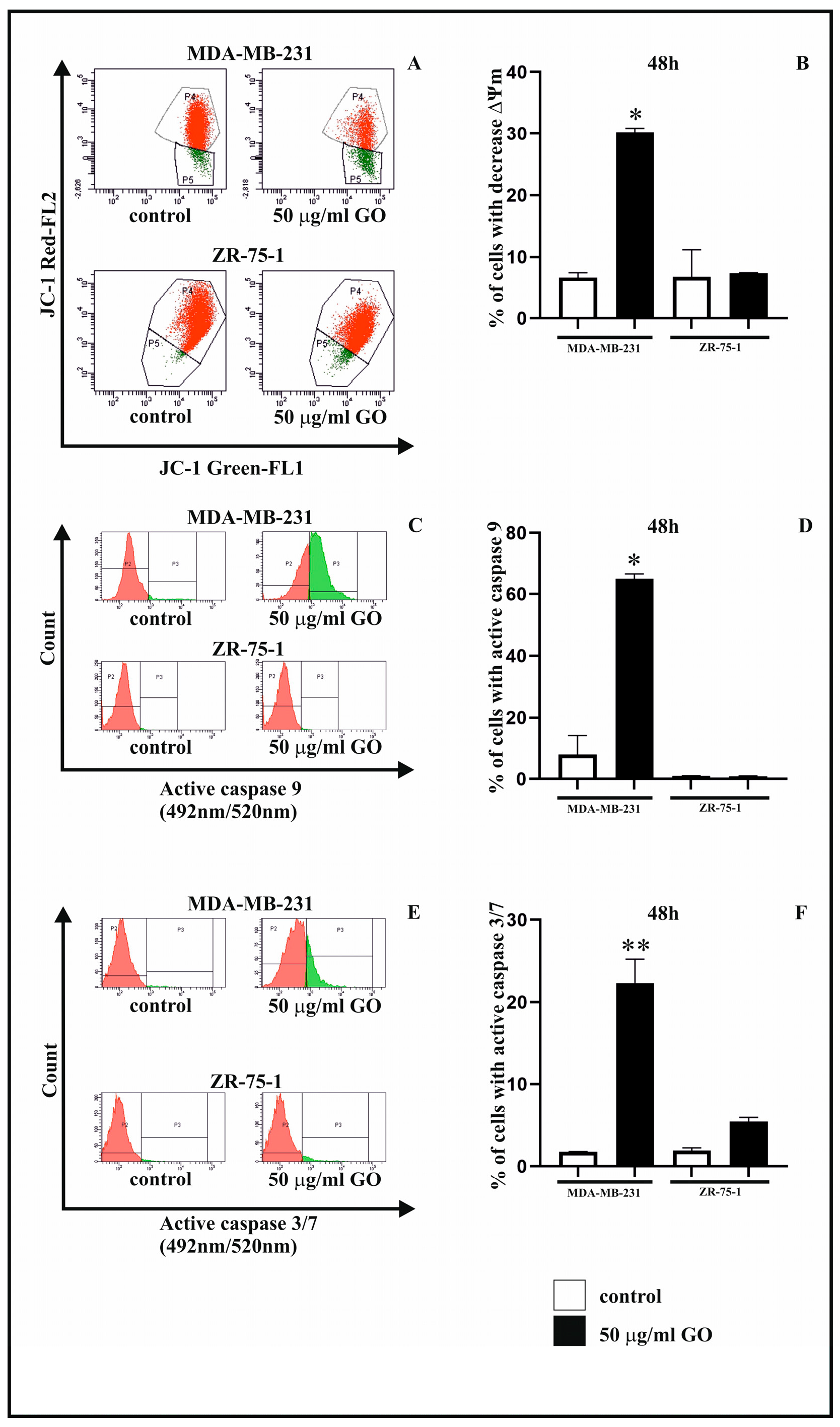 Cells 14 01717 g004 Cells 14 01717 g004