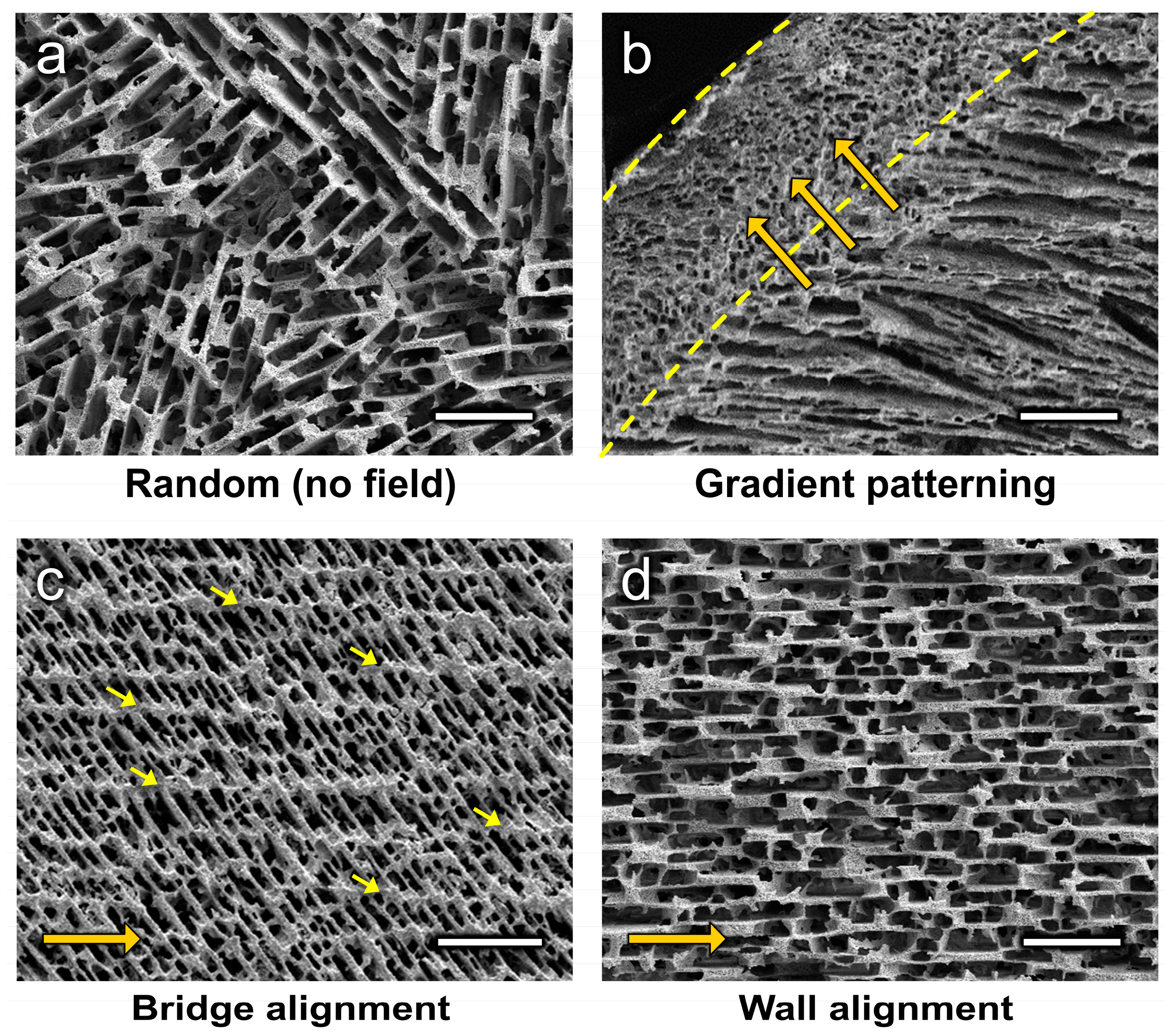 Ceramics 02 00018 g005