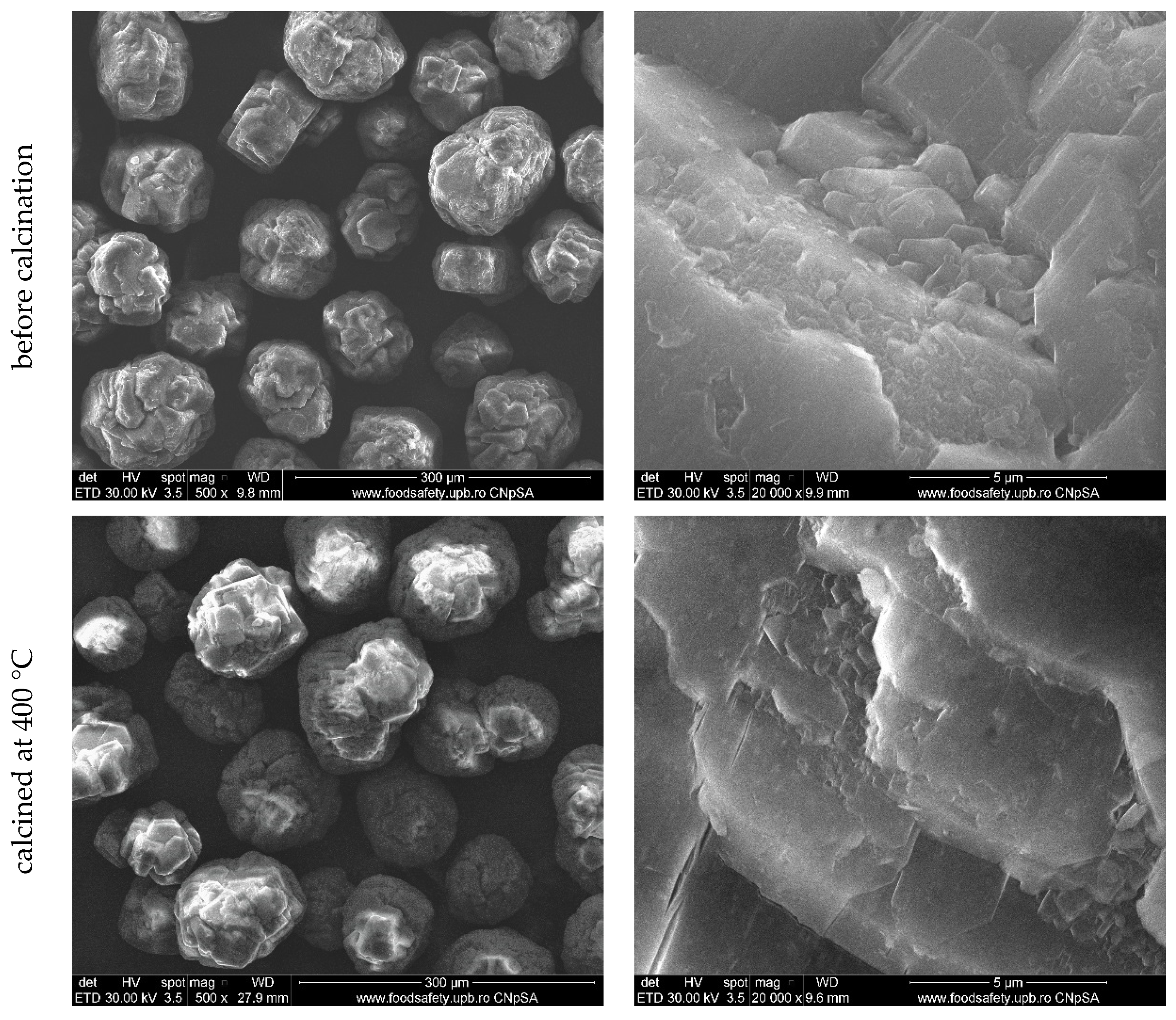 Ceramics 04 00021 g006